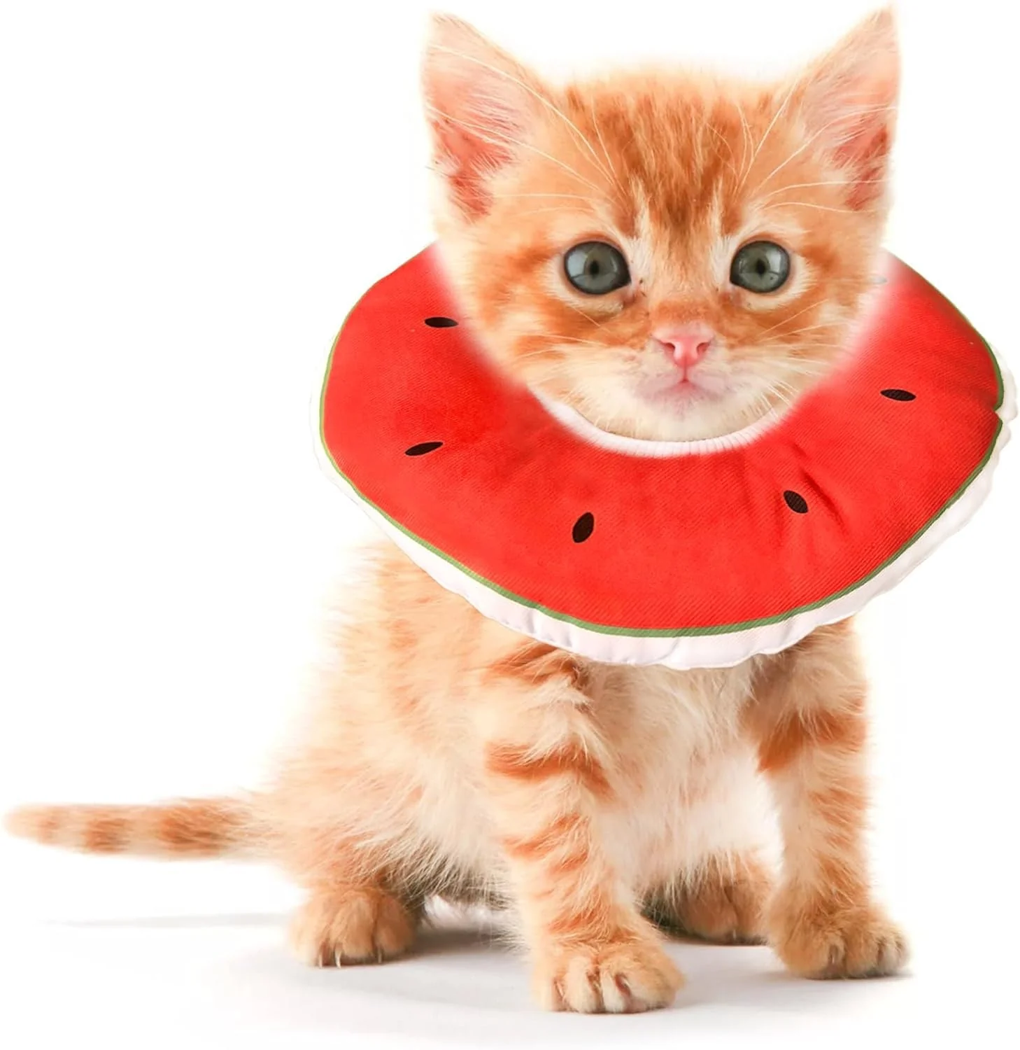 Elite Jevnd Kitten Cone Collar XS – Soft Donut Recovery Collar for Cats Specialty