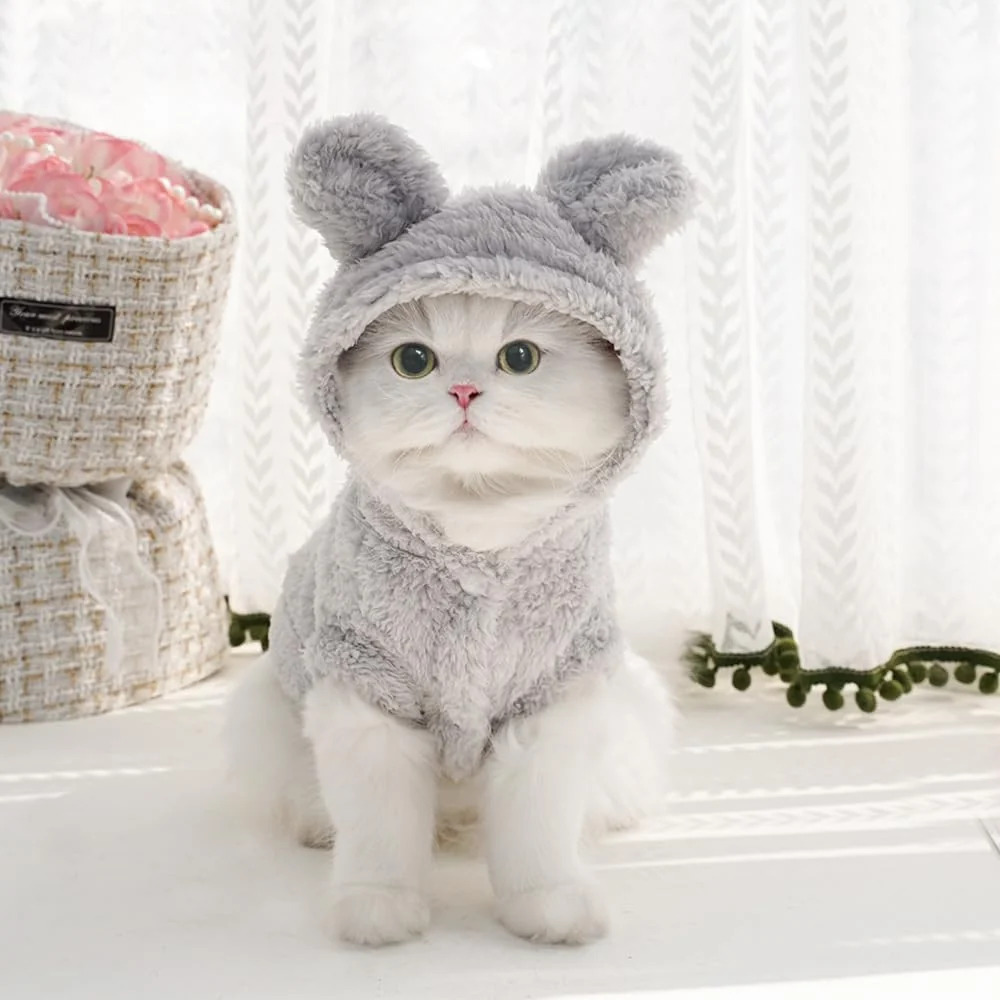 Professional Selena Cat Bunny Ears Costume Gray — Cozy Hooded Pet Hoodie Large Recyclable
