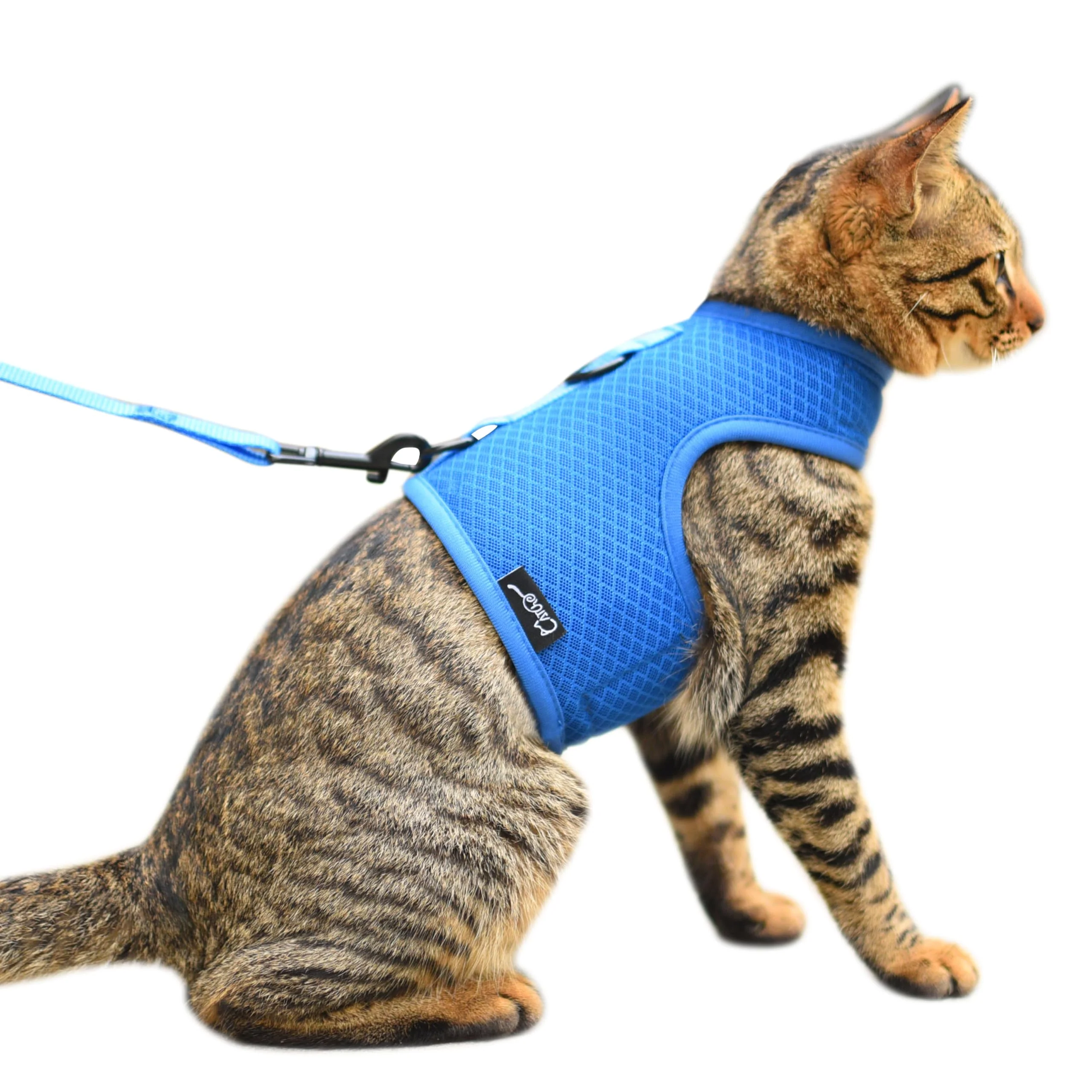 User-Friendly YIZHI MIAOW Cat Harness and Leash – Escape-Proof Breathable Adjustable Vest for Large Cats Solid Blue Sustainable
