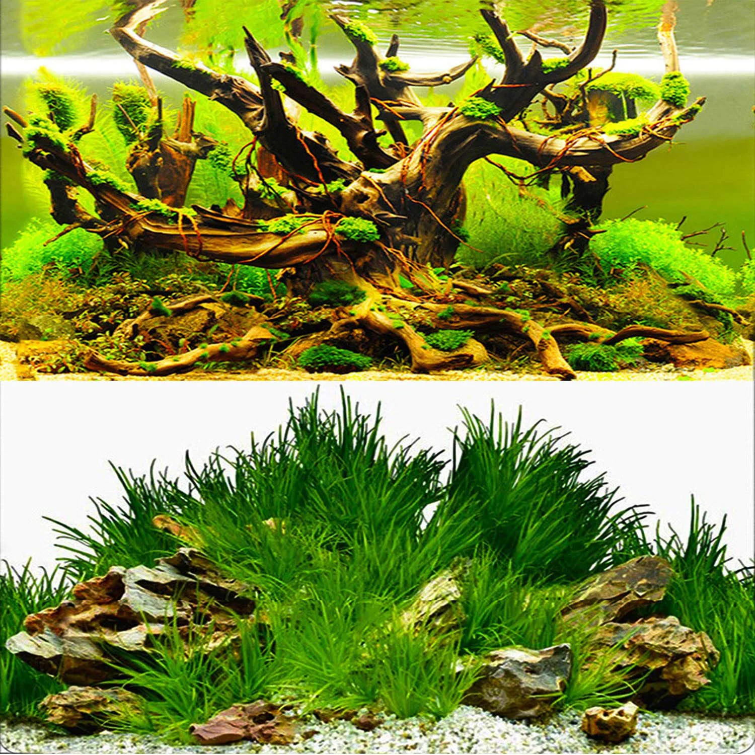 Original Design ELEBOX New 20×48 Fish Tank Background Paper – Double-Sided Seaweed Decor Enhanced