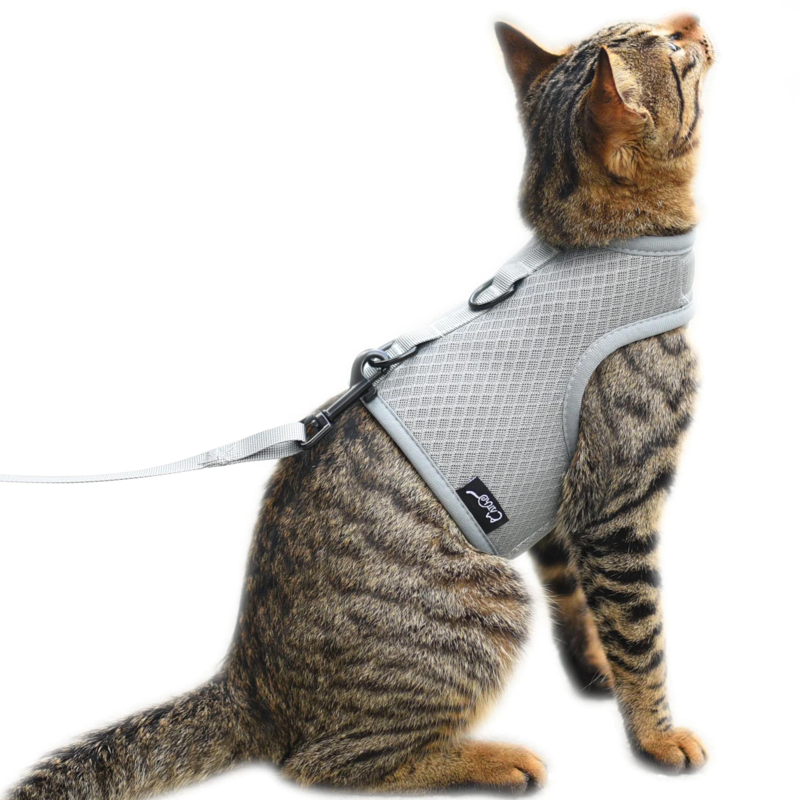 Original YIZHI MIAOW Cat Harness and Leash – Escape-Proof Breathable Mesh Adjustable Large Vest Superior