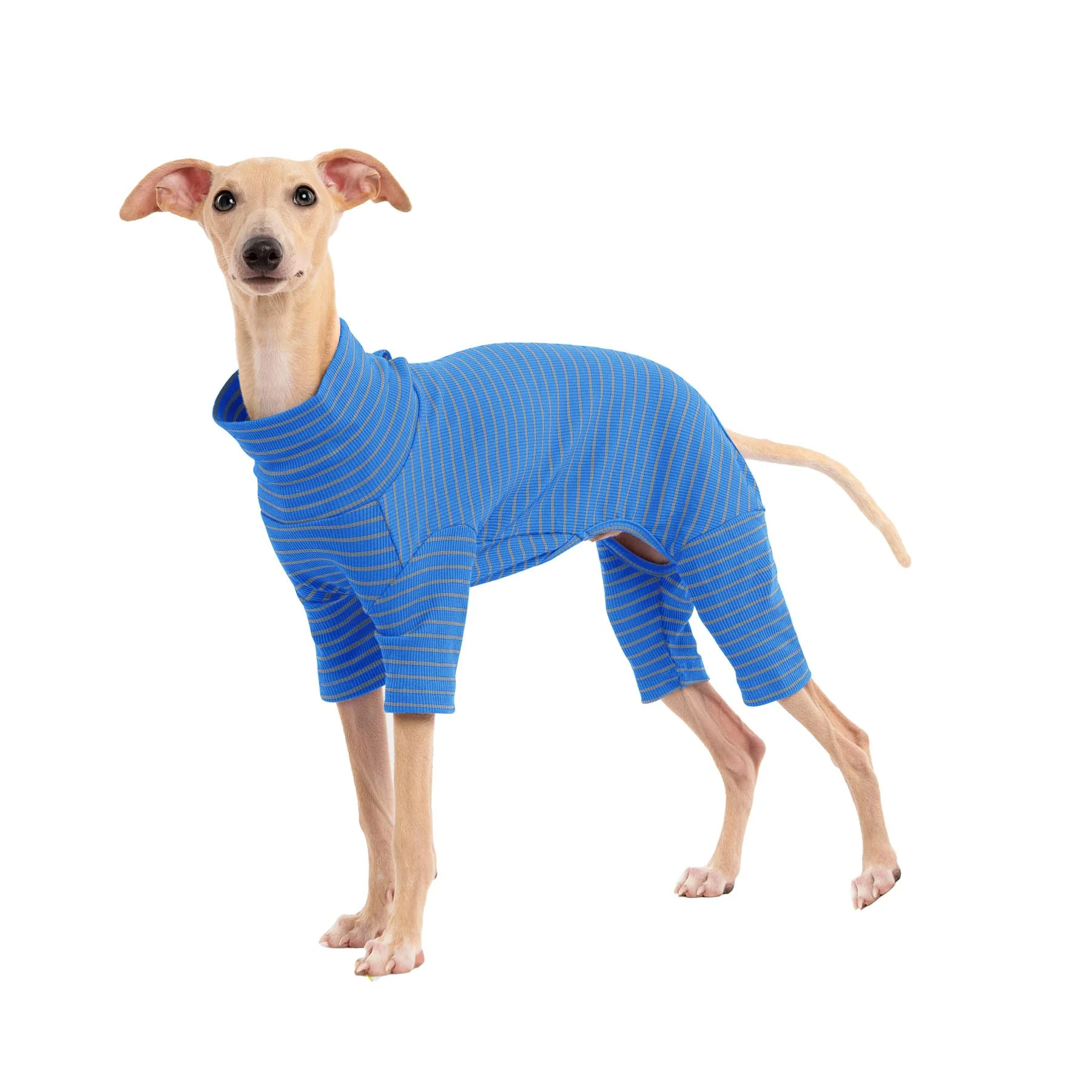 Environmentally Friendly Haloumoning Dog Sweaters — Striped Turtleneck Knitwear for Small to Large Dogs Advanced