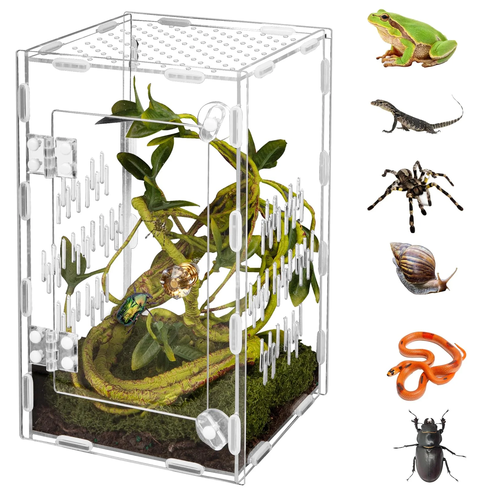 Reusable Orekemo Acrylic Reptile Terrarium 360° Clear Easy Assembly 9.8×5.9×5.9 in Comfortable