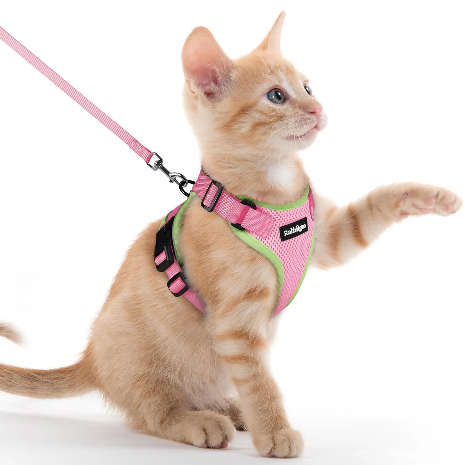 Premium Material Rabbitgoo Cat Harness and Leash — Escape-Proof Adjustable Vest Harness for Cats Clean
