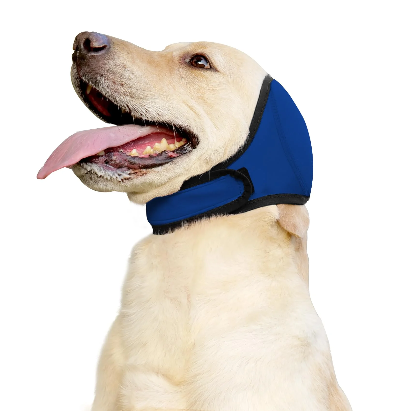 Green JOHNBOLIN Dog Ear Muffs No Shake Ear Wrap – Calming Waterproof Hood for Grooming Blue L Trendy