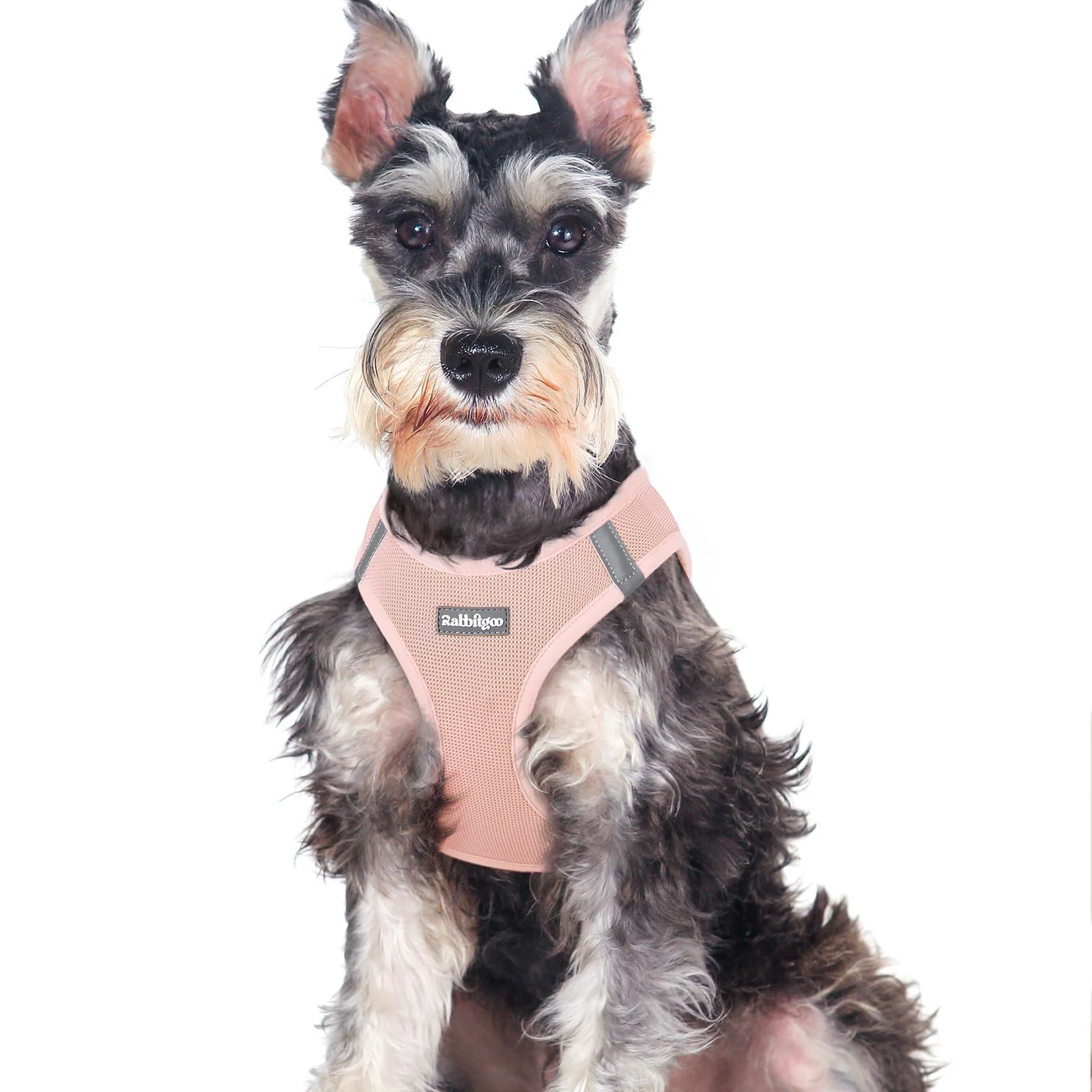 Comfortable rabbitgoo Pink XXL Small Dog Harness — Step-in Mesh Reflective Safety Contemporary