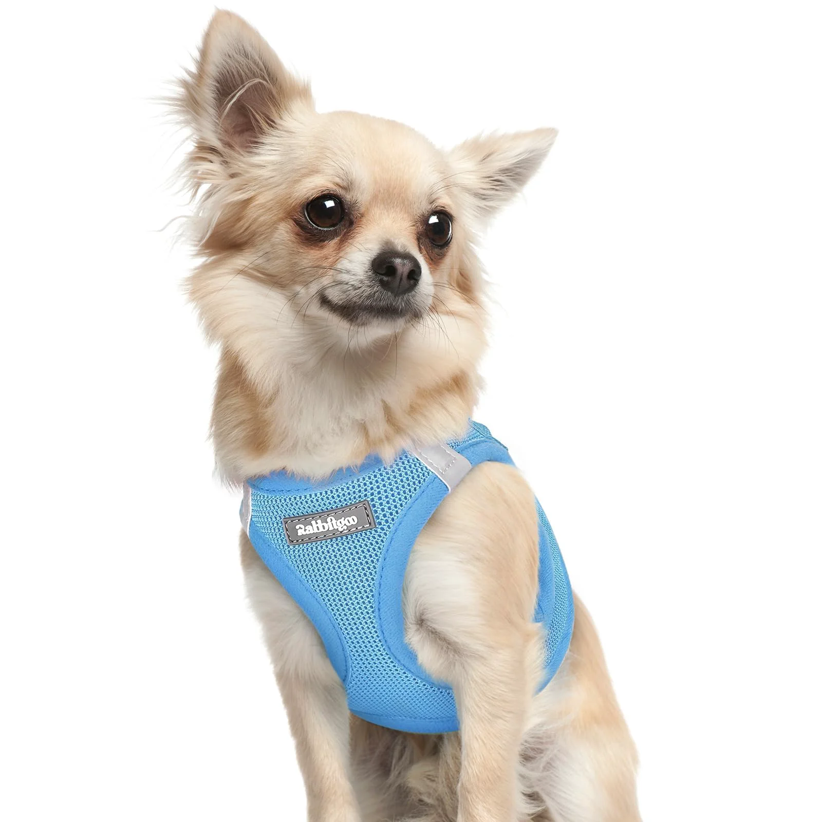 Trendy rabbitgoo Small Dog Harness XXXS — Step-In Soft Mesh Vest with Safety Buckle Breathable Reflective Harness Blue Smart