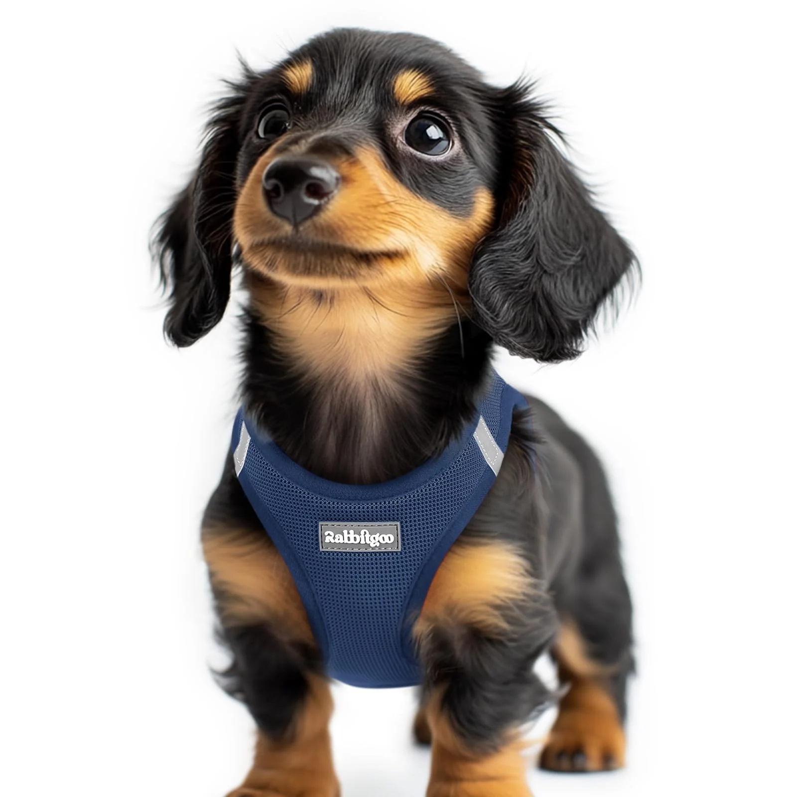 User-Friendly Rabbitgoo Small Dog Harness XXS Navy Blue Step-In Breathable Mesh Modern