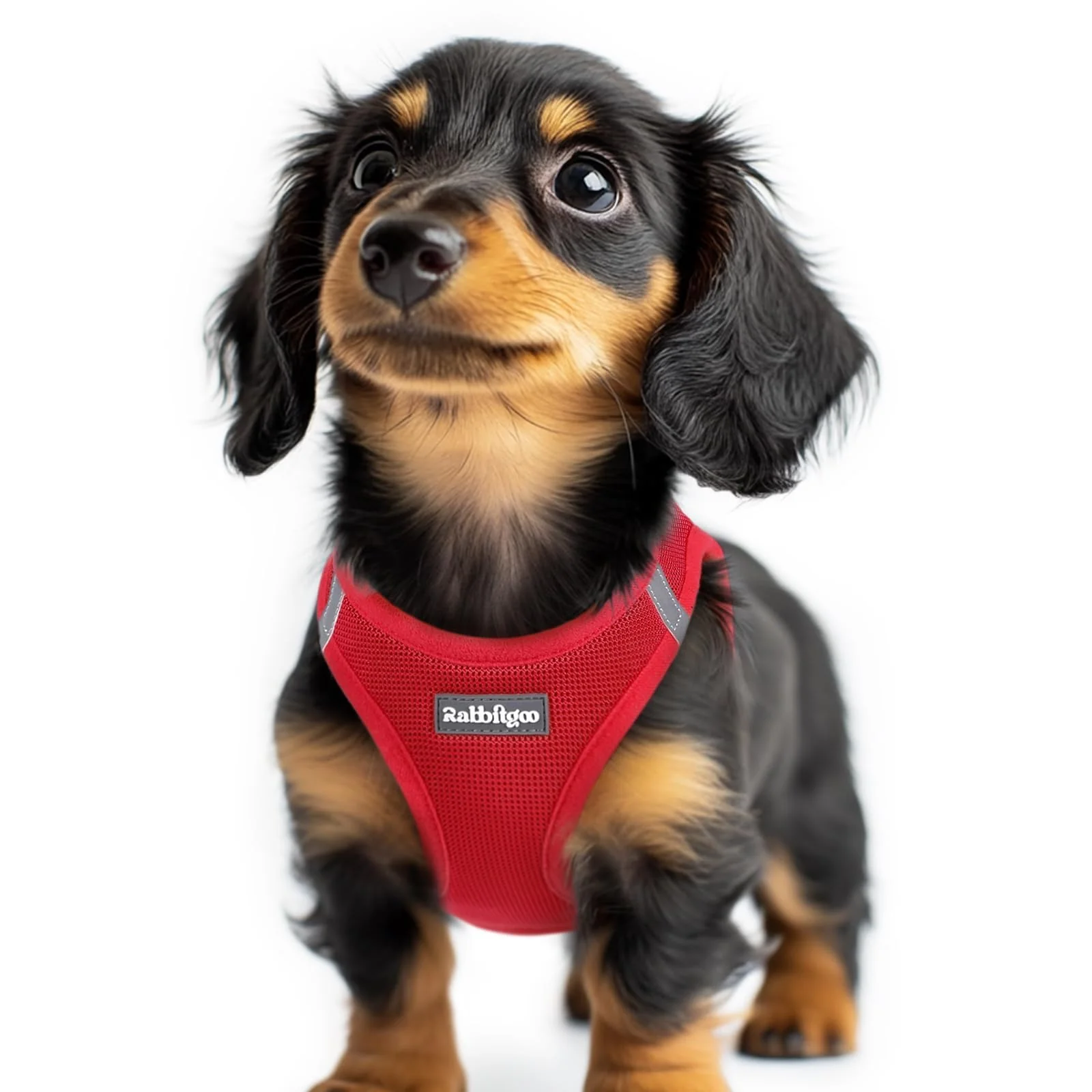 Reusable rabbitgoo Small Dog Harness XXS – Step-In Soft Mesh Vest with Safety Buckle Reflective Breathable for Extra Small Dogs Eco-Friendly