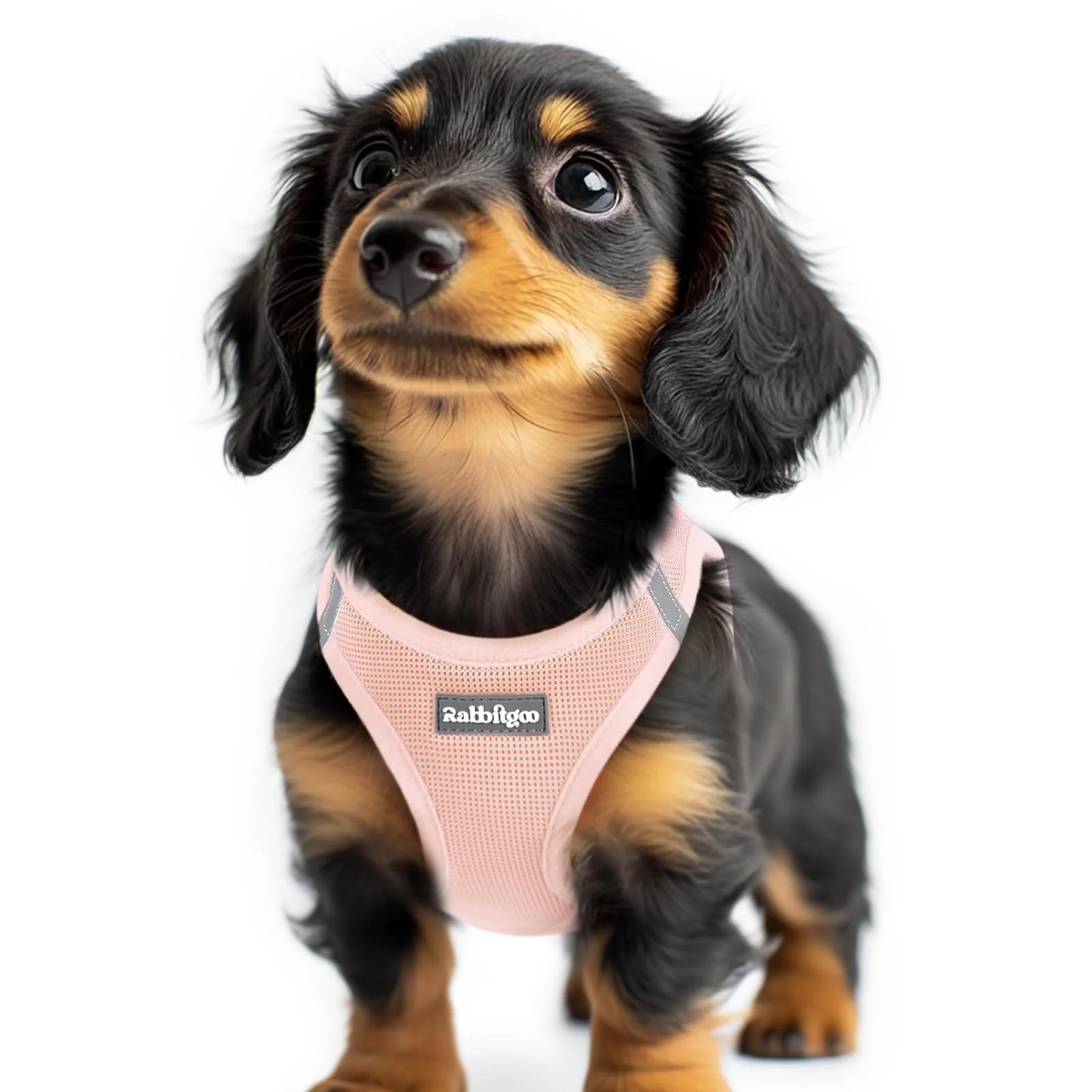 Fast rabbitgoo Small Dog Harness XXS Pink – Step-In Mesh Reflective Safety Harness Powerful
