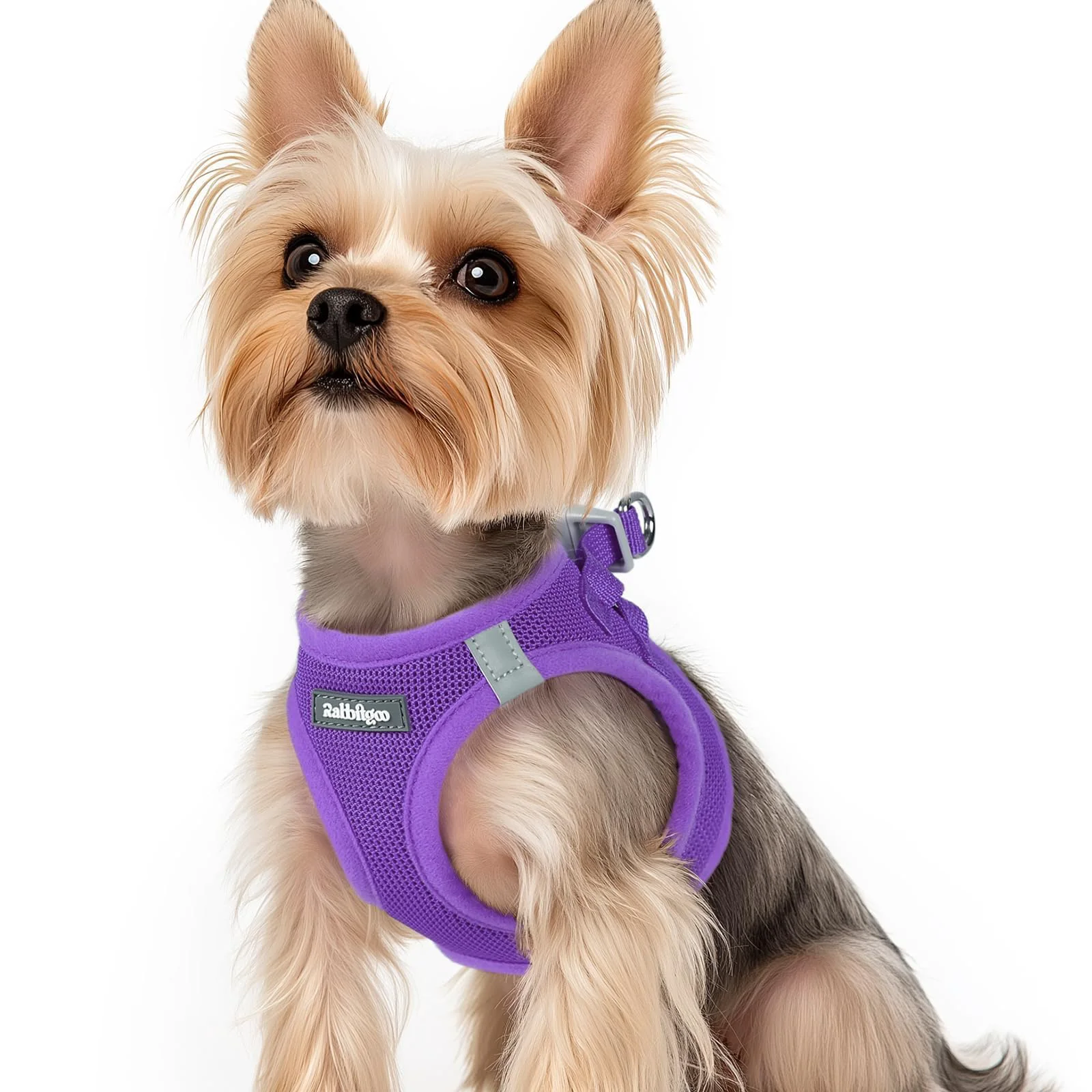 Verified rabbitgoo Small Dog Harness XS Purple – Step-in Breathable Mesh with Reflective Safety Buckle World-Class