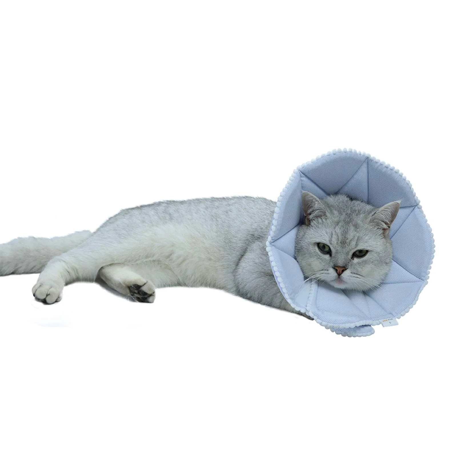 User-Friendly WZ PET Soft Cat Recovery Collar – Adjustable Blue Cone for Cats Puppies Small Contemporary