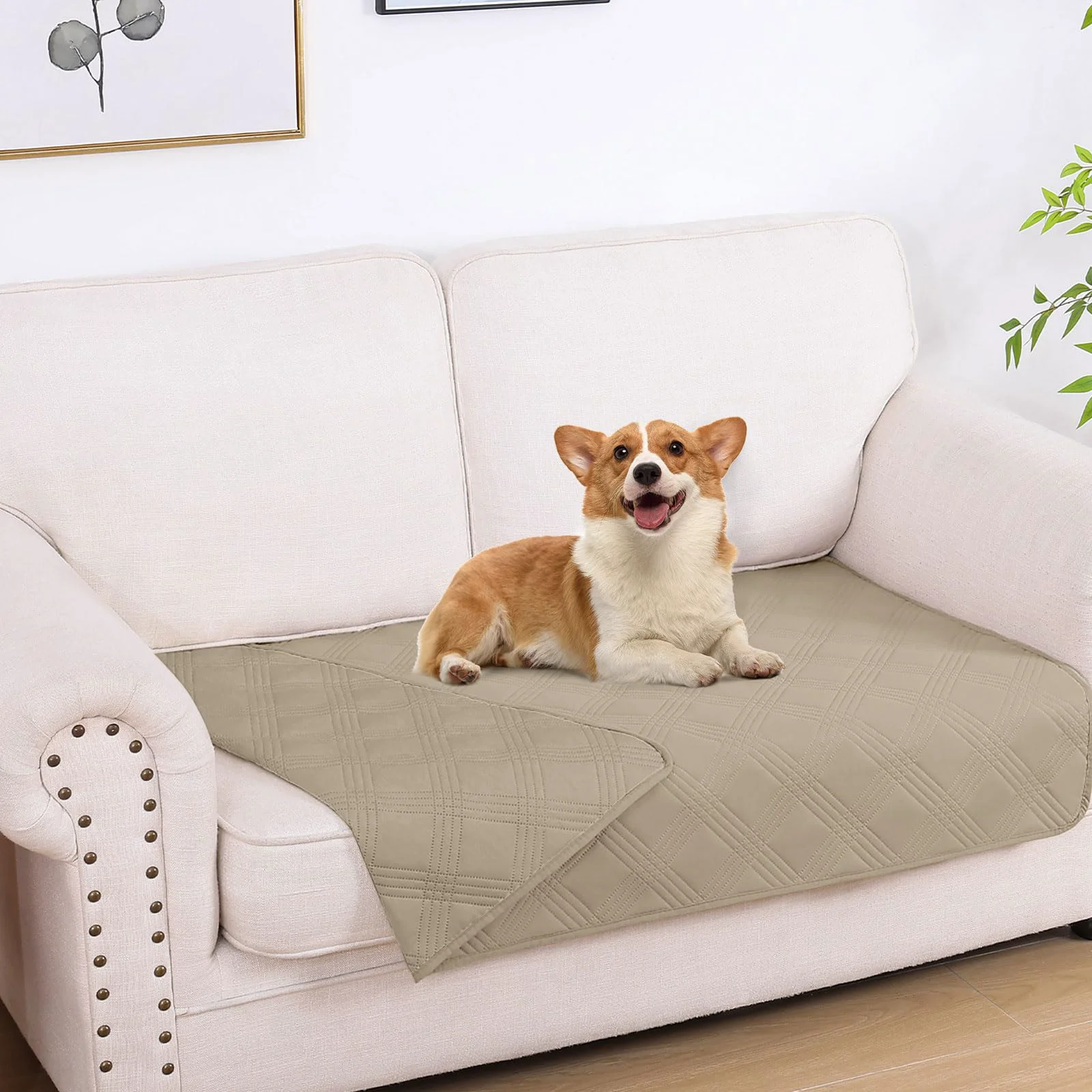 Powerful hyha Waterproof Dog Blanket Reversible Sofa Cover for Pets 30×53 Taupe Traditional