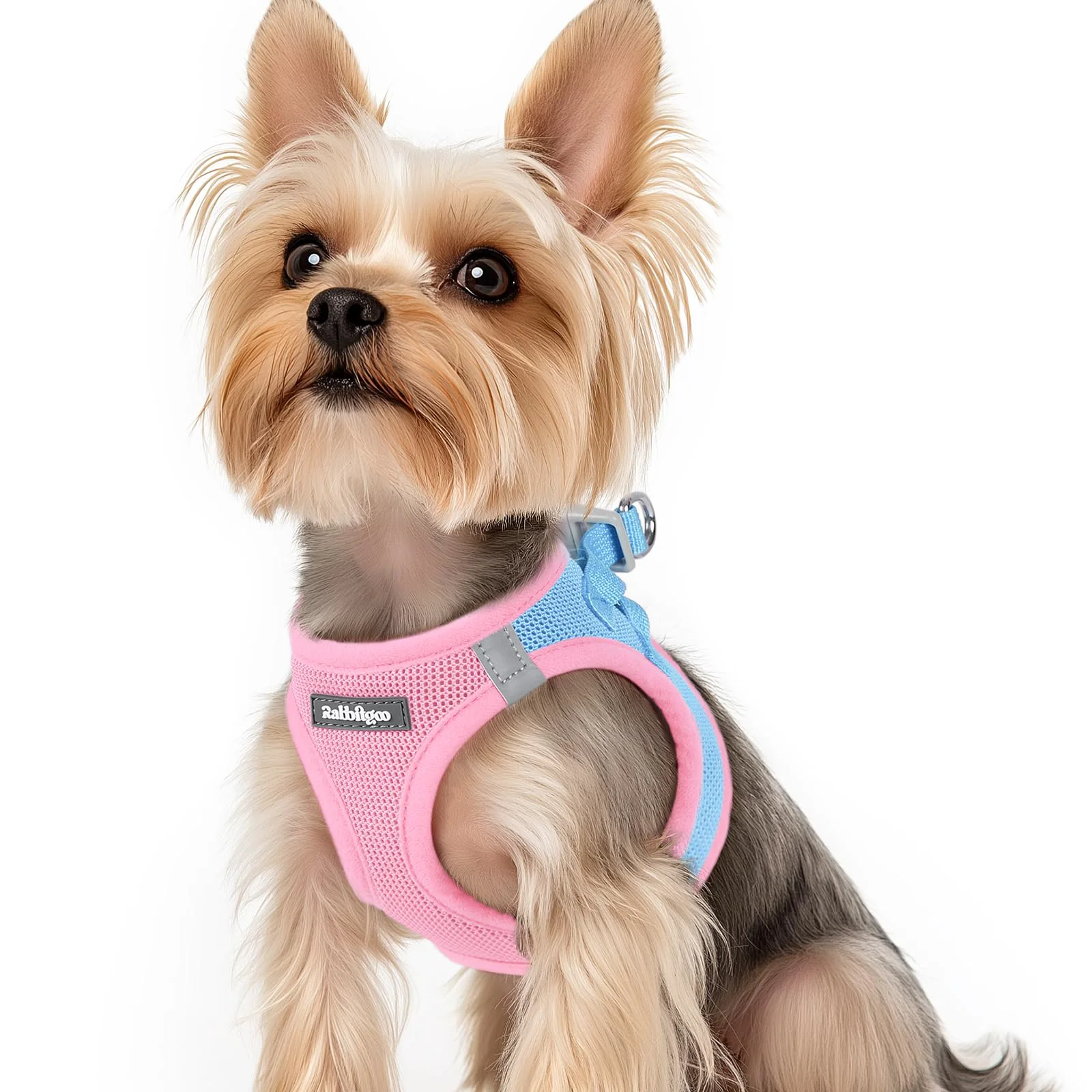 Unique Rabbitgoo Small Dog Harness XS — Step-In Mesh Reflective Breathable Blue Light Pink Clean