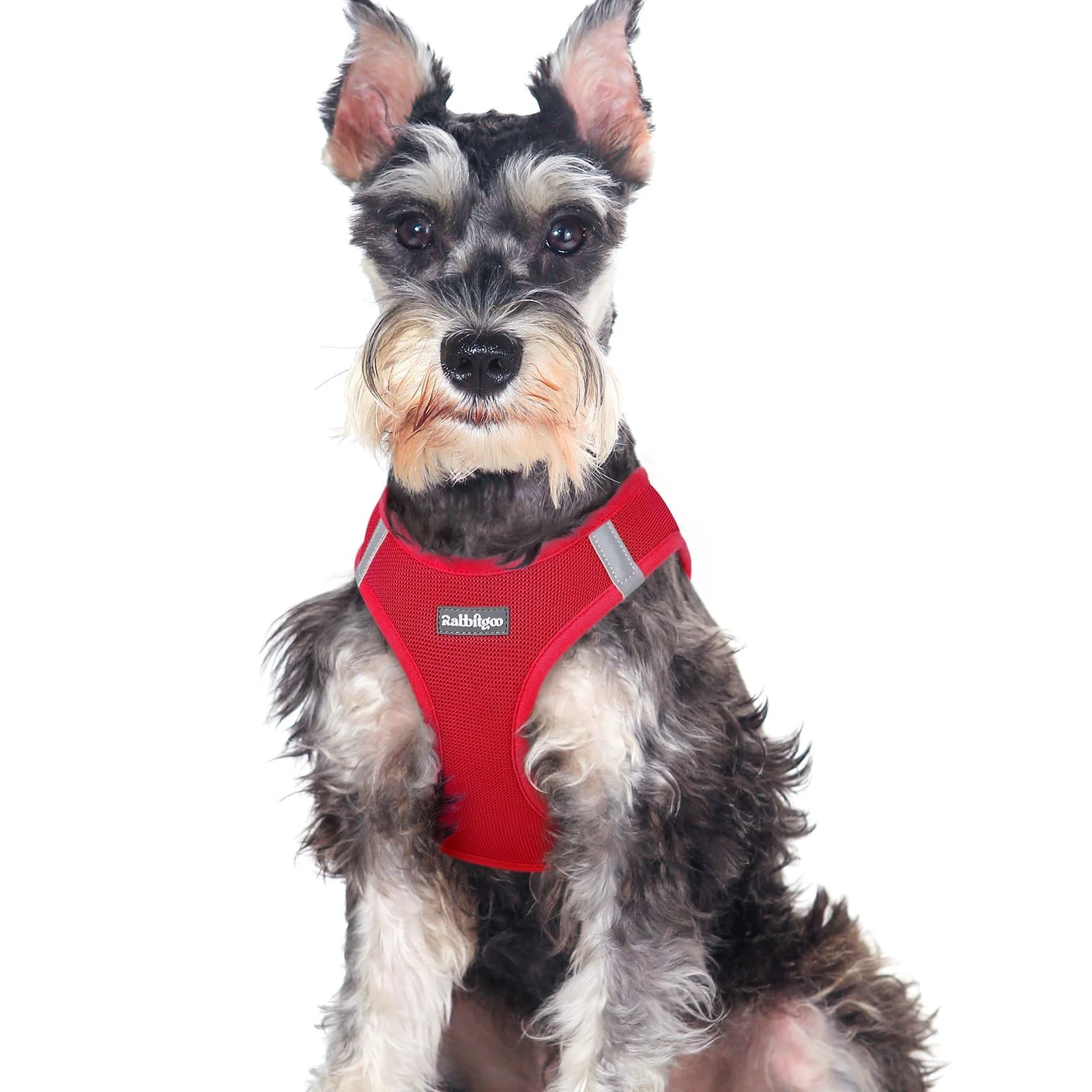 Eco-Friendly Rabbitgoo Small Dog Harness XXL — Step-In Mesh Reflective Safety Buckle Red World-Class