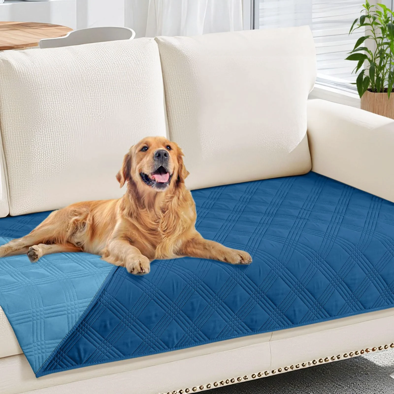 Lightweight hyha Waterproof Dog Blanket – Reversible Pet Couch Cover 30×70 Navy Blue Blue Relaxed