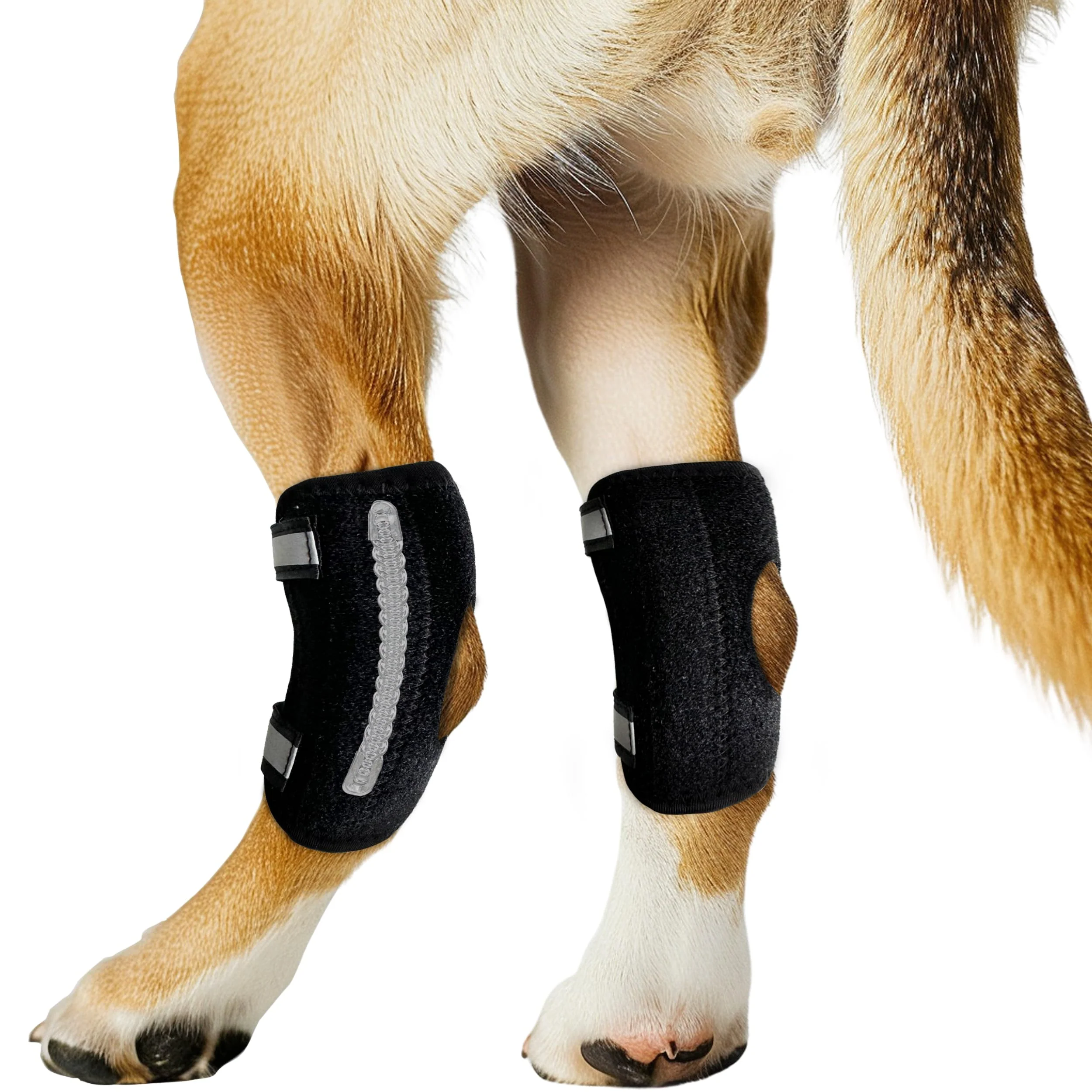 Pure Lushnessu Adjustable Dog Rear Leg Brace — Replaceable Bars Hock Ankle Support M Pair Traditional