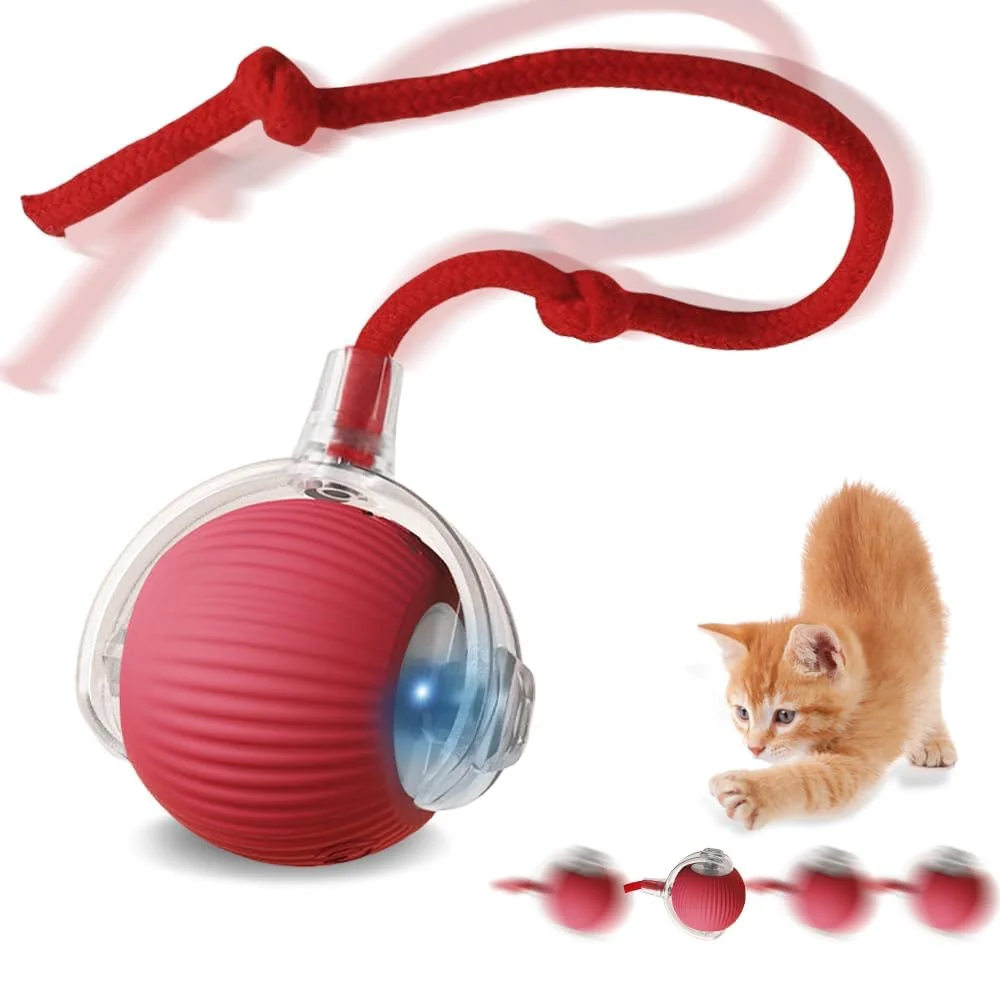 Quality Hengulus Speedy Tail 2.0 Cat Toy Interactive Indoor Cat Toy with 3 Modes World-Class