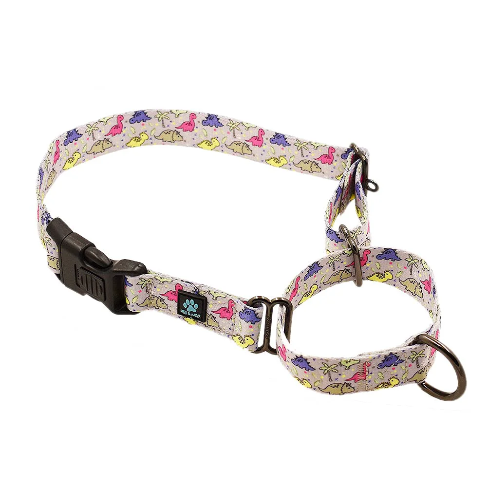 Classic Max and Neo Patterned Martingale Dog Collar Dinosaurs – 1-inch Wide 1-for-1 Rescue Donation Trendy