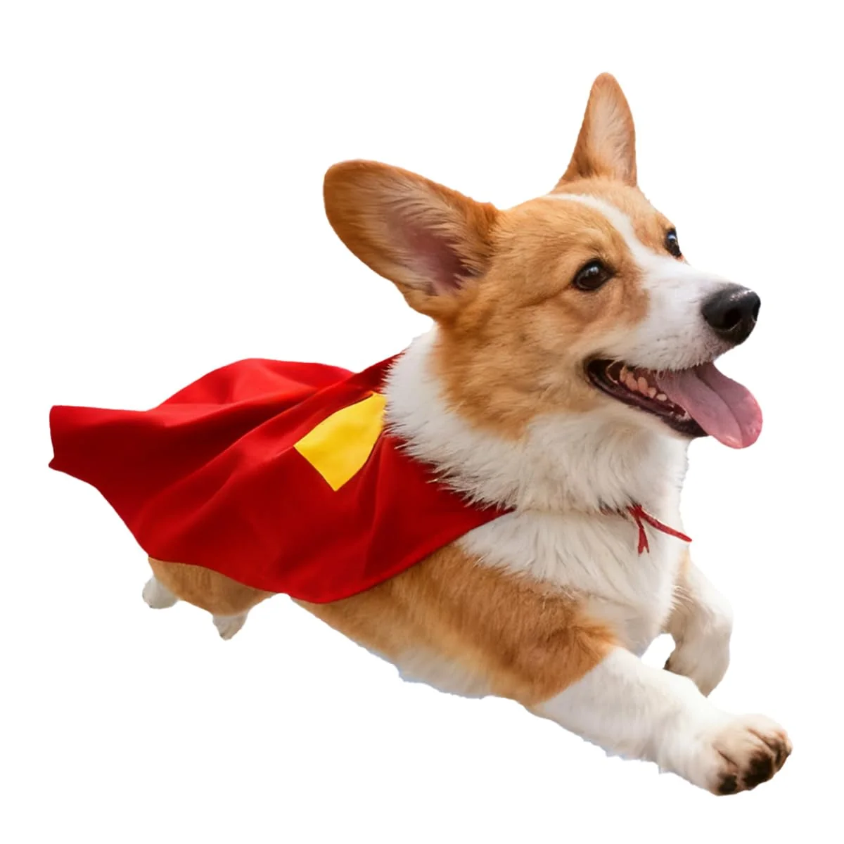 Exclusive Red Dog Hero Costume Cape – Secure-Fit Pet Cape for Play Halloween Parties Medium Contemporary