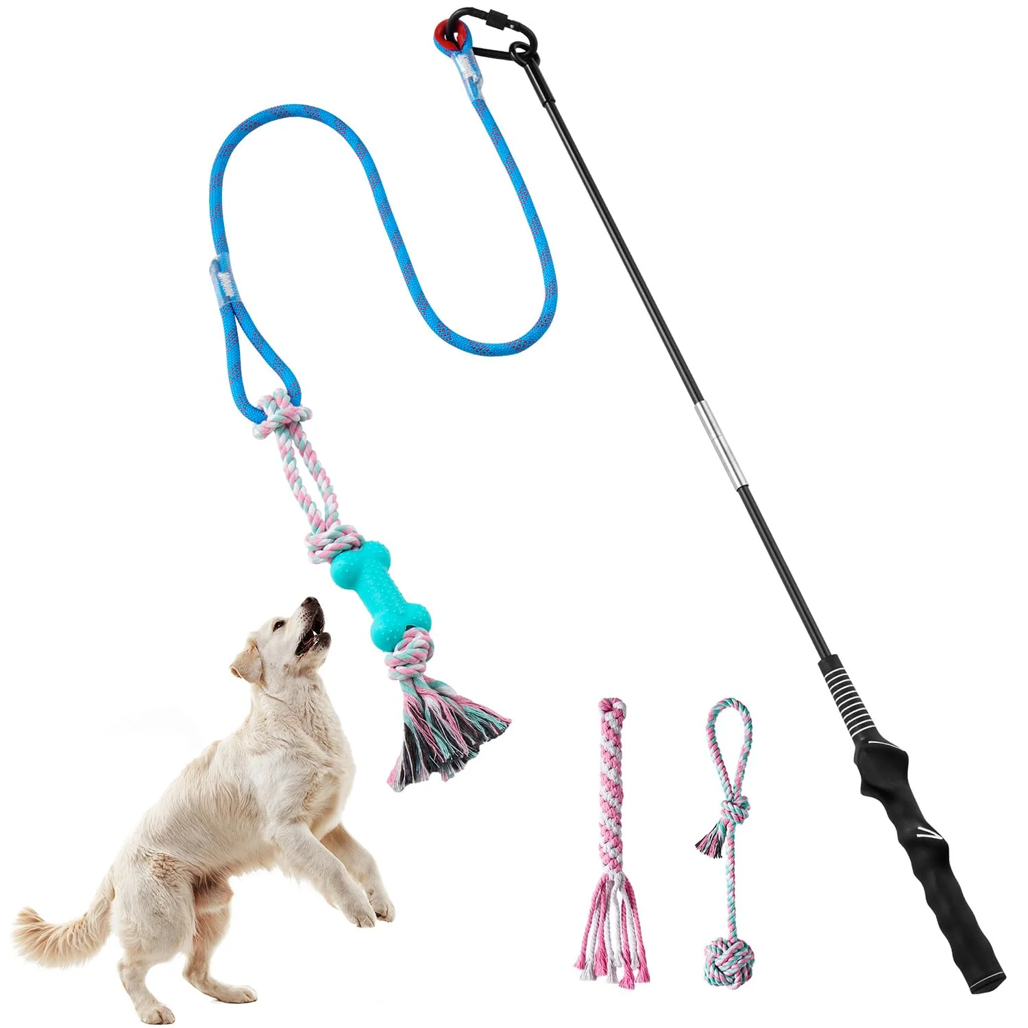 Selected Aitmexcn Flirt Pole for Dogs – Interactive Chase Tug Toy for All Breeds Next-Generation