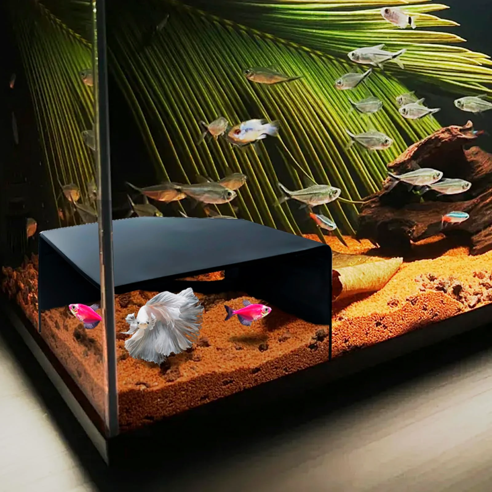 Specialty CPLIKE Aquarium Corner Cave Hide – Viewing Window for Fish Reptiles 6x6x3.5 in High-End