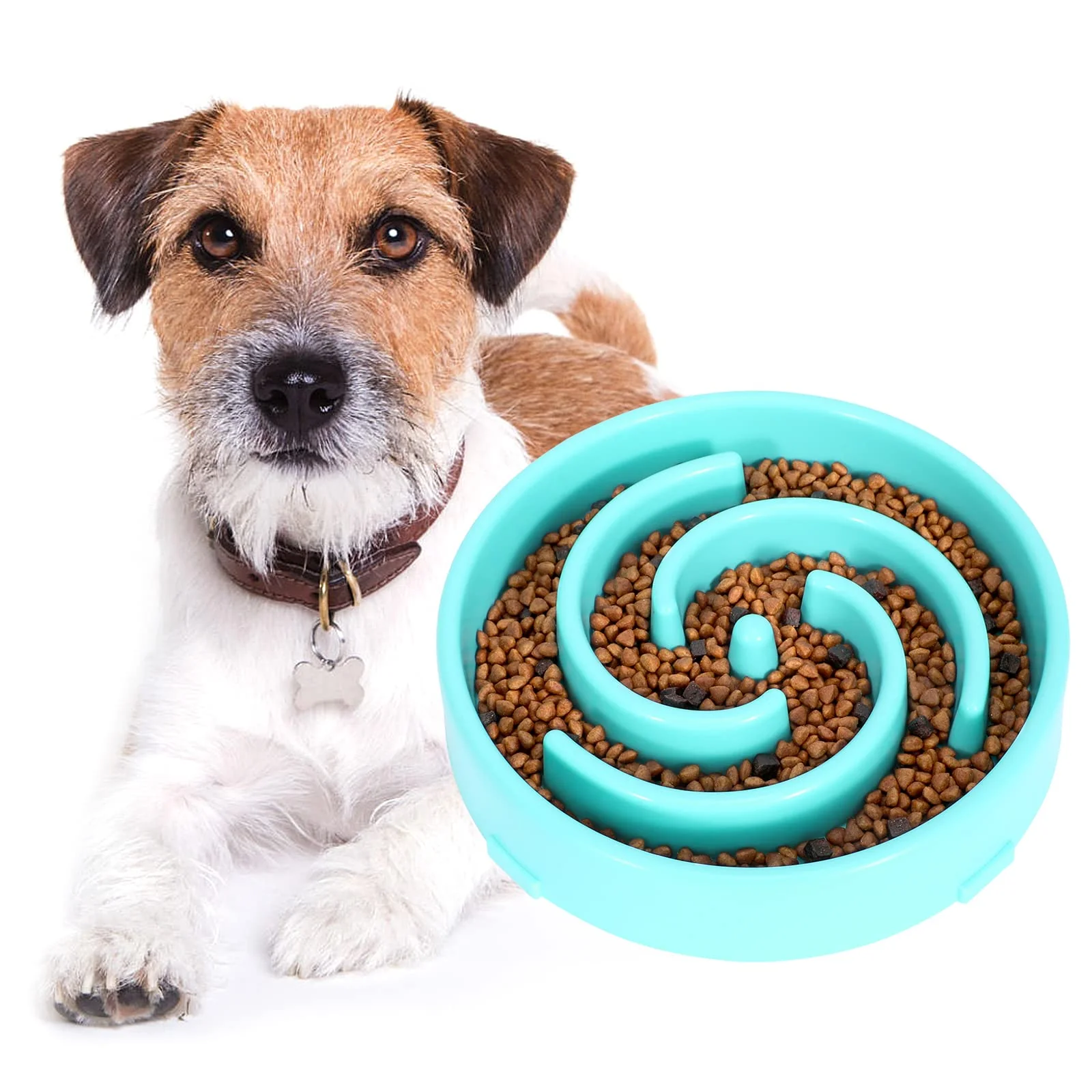 Exclusive WHIPPY Slow Feeder Bowl for Dogs — Interactive Maze Puzzle Bowl for Small to Medium Dogs Fine