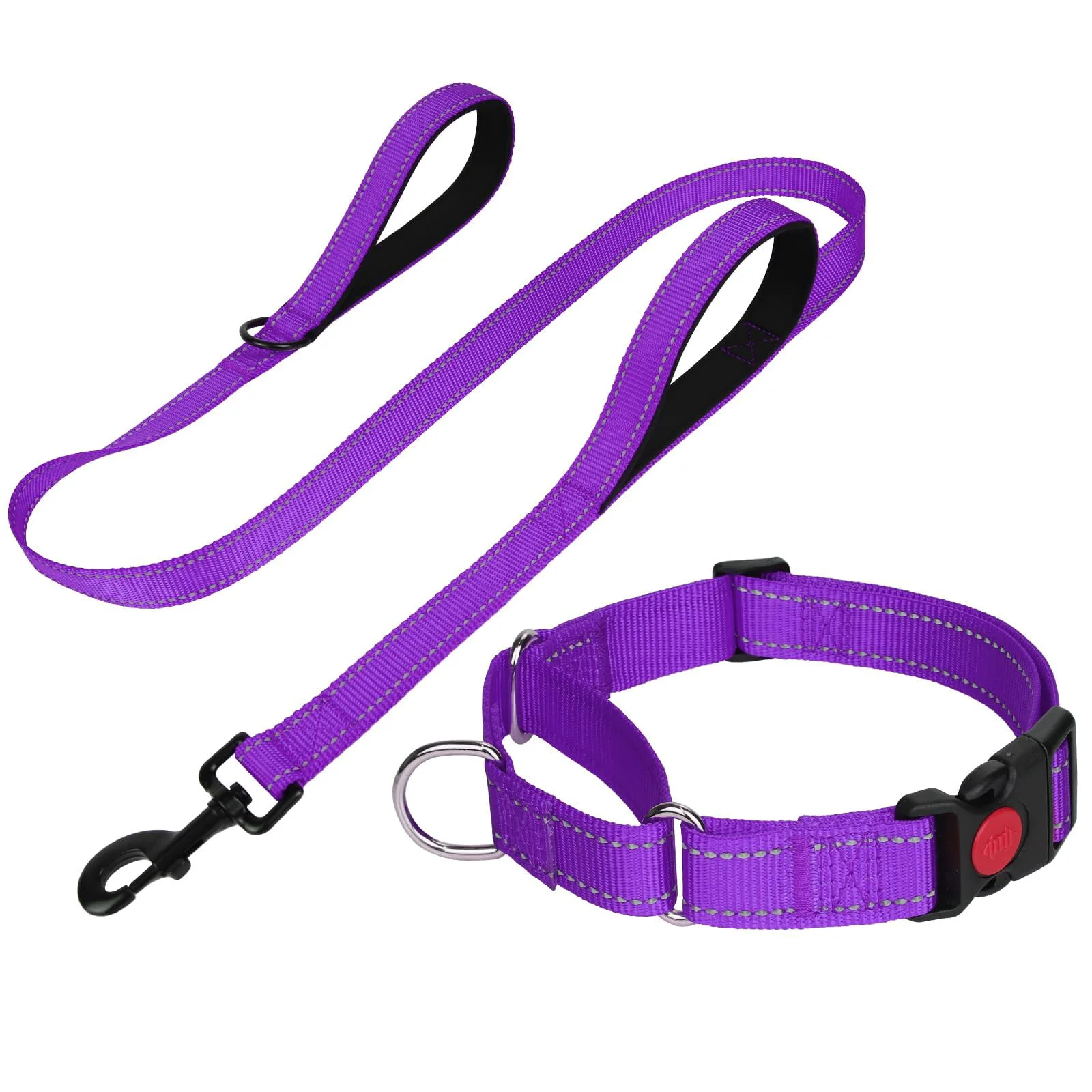 Secure FunTags Reflective Martingale Collar 5ft Leash Set for Medium Dogs – Purple M Exceptional
