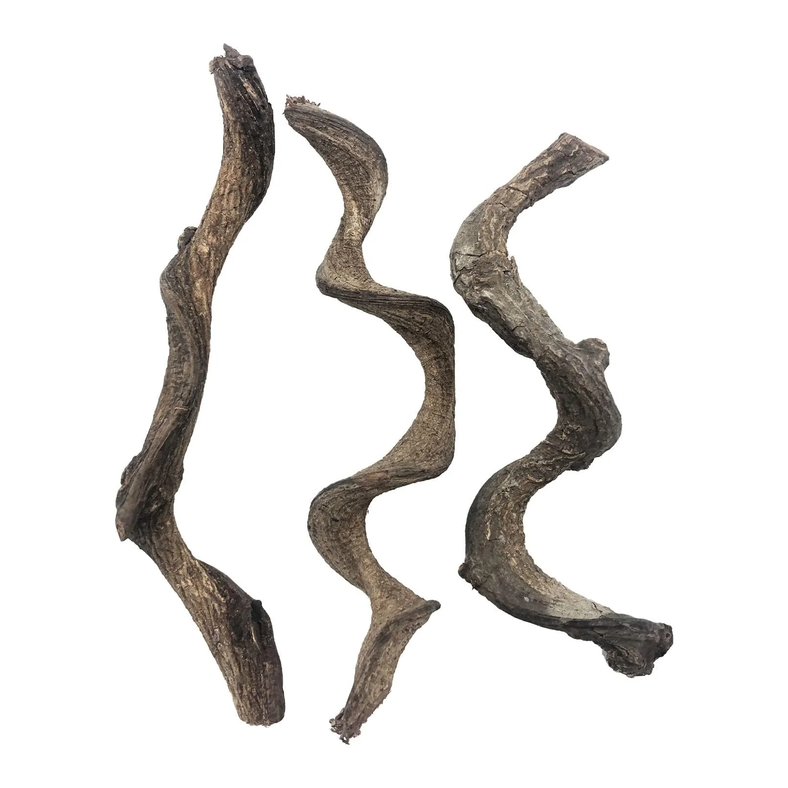 Unique BNOSDM Reptile Decor 3PCS Natural Forest Branch Terrarium Habitat Decoration First-Class