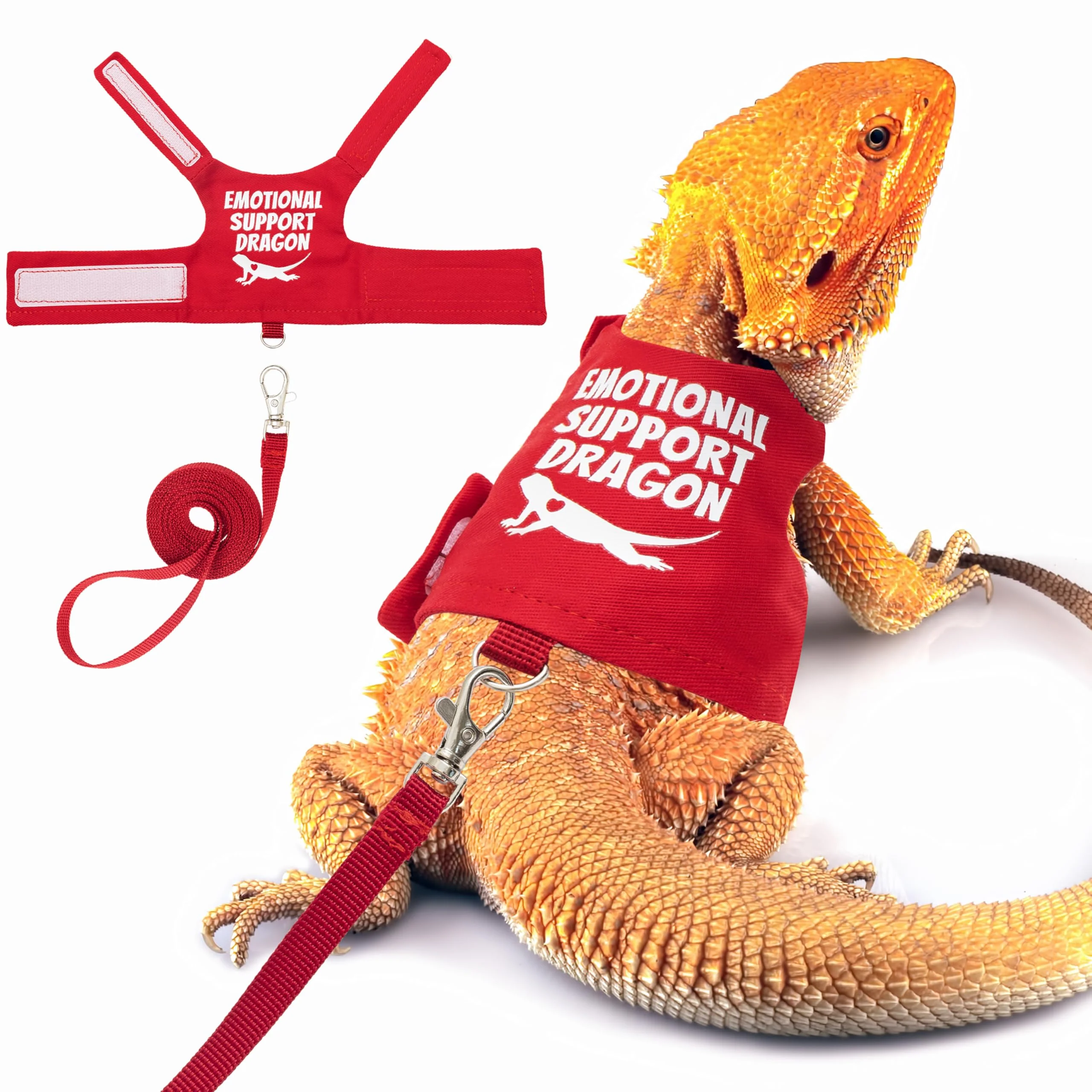 High-End TUKOAW Bearded Dragon Harness and Leash Set — Escape-Proof Adjustable for Outdoor Walks Recyclable