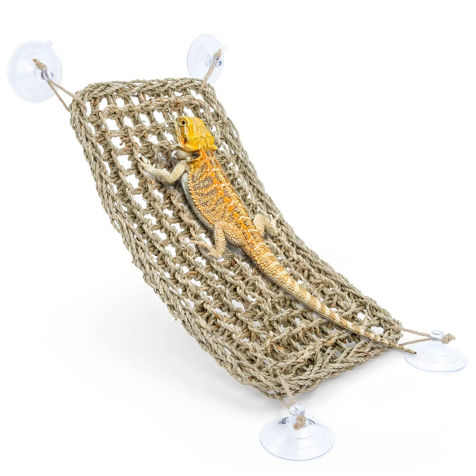 Traditional Niteangel Bearded Dragon Hammock Reptile Lounger 16×8 – Seagrass Climbing Bed High-Grade