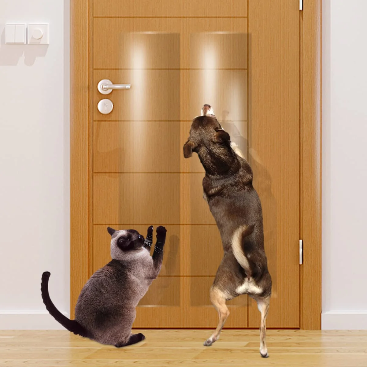 Proven KEBE Door Scratch Protector – Clear Heavy-Duty Shield for Doors 63 in x 7.9 in Original