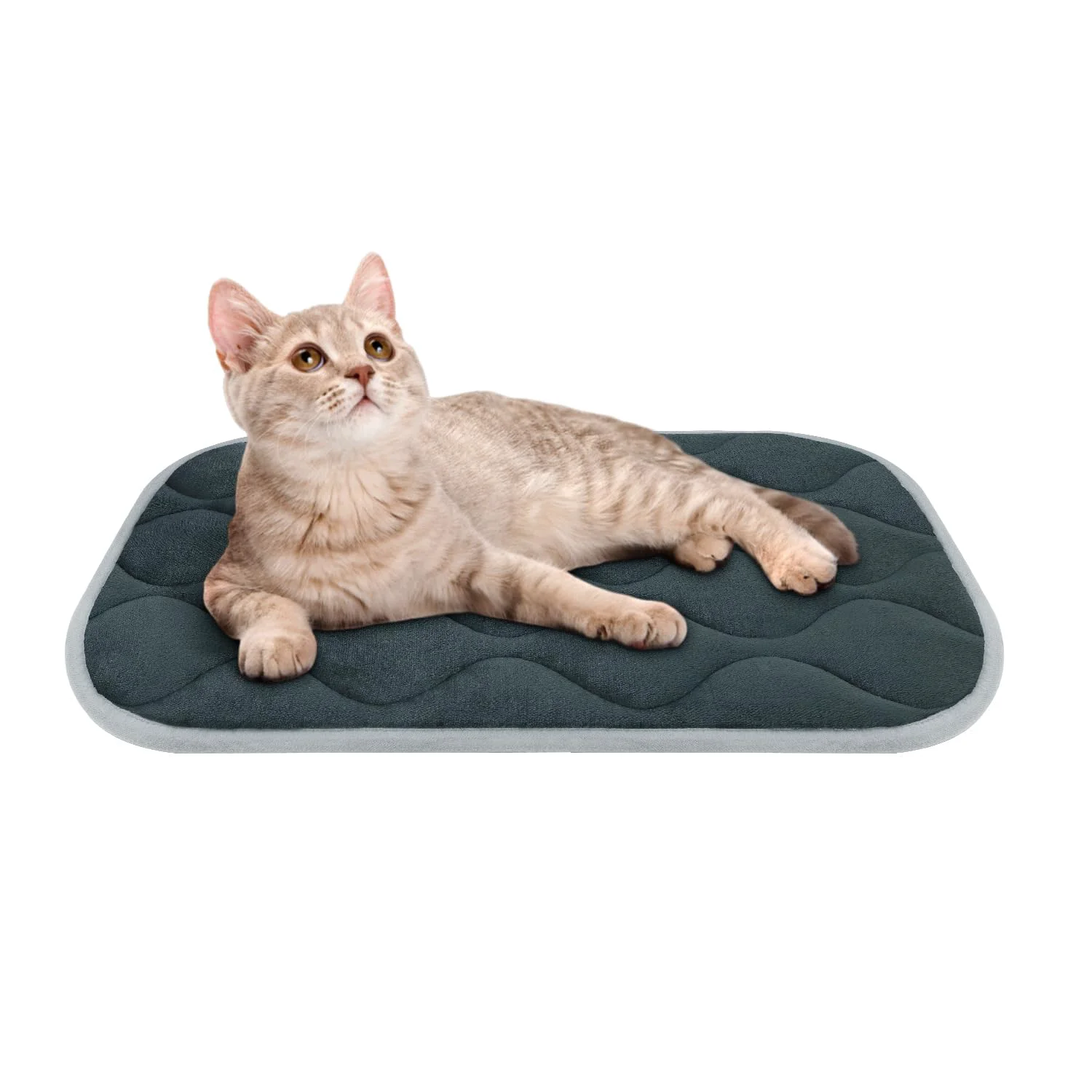 Exclusive furrybaby Dog Bed Mat Flat Crate Mat 22×13 in Anti-Slip Machine Washable Grey High-Quality