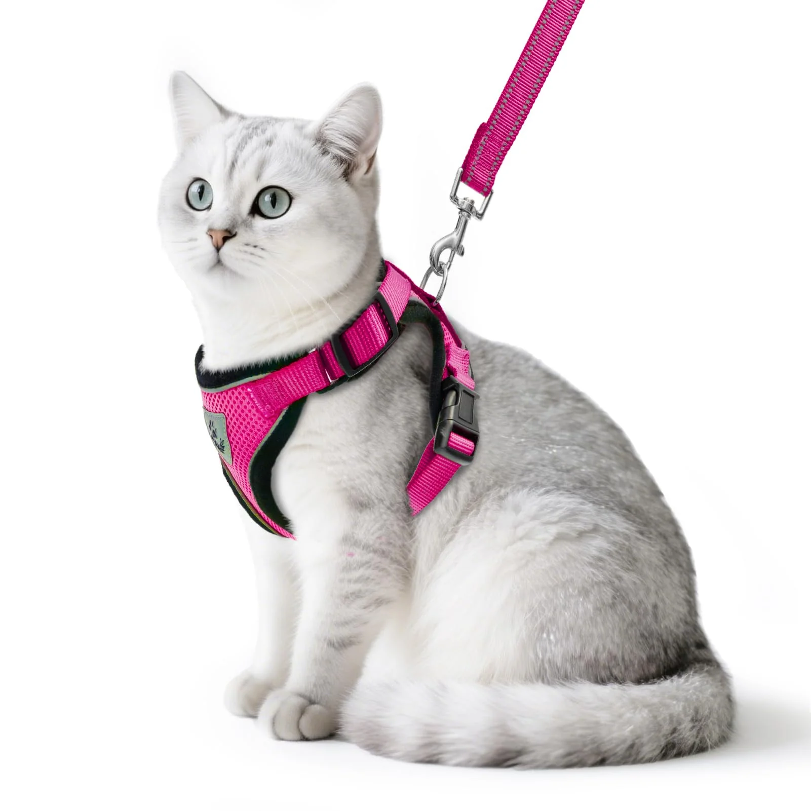 Eco-Friendly PUPTECK Cat Harness and Leash Set — Escape-Proof Reflective Mesh Vest Deep Pink Size S Casual