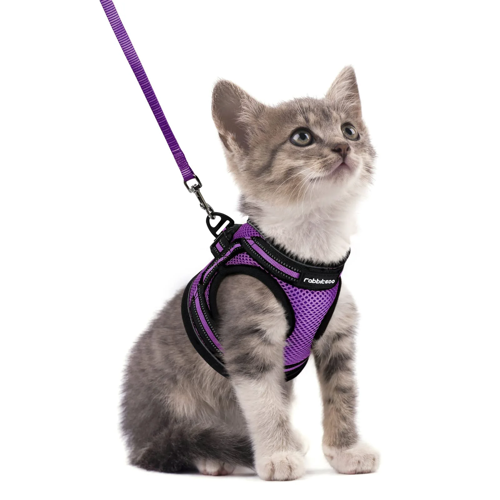 Elite Rabbitgoo Cat Harness Leash Set — Escape-Proof Adjustable Vest with Reflective Strips Purple Size S World-Class