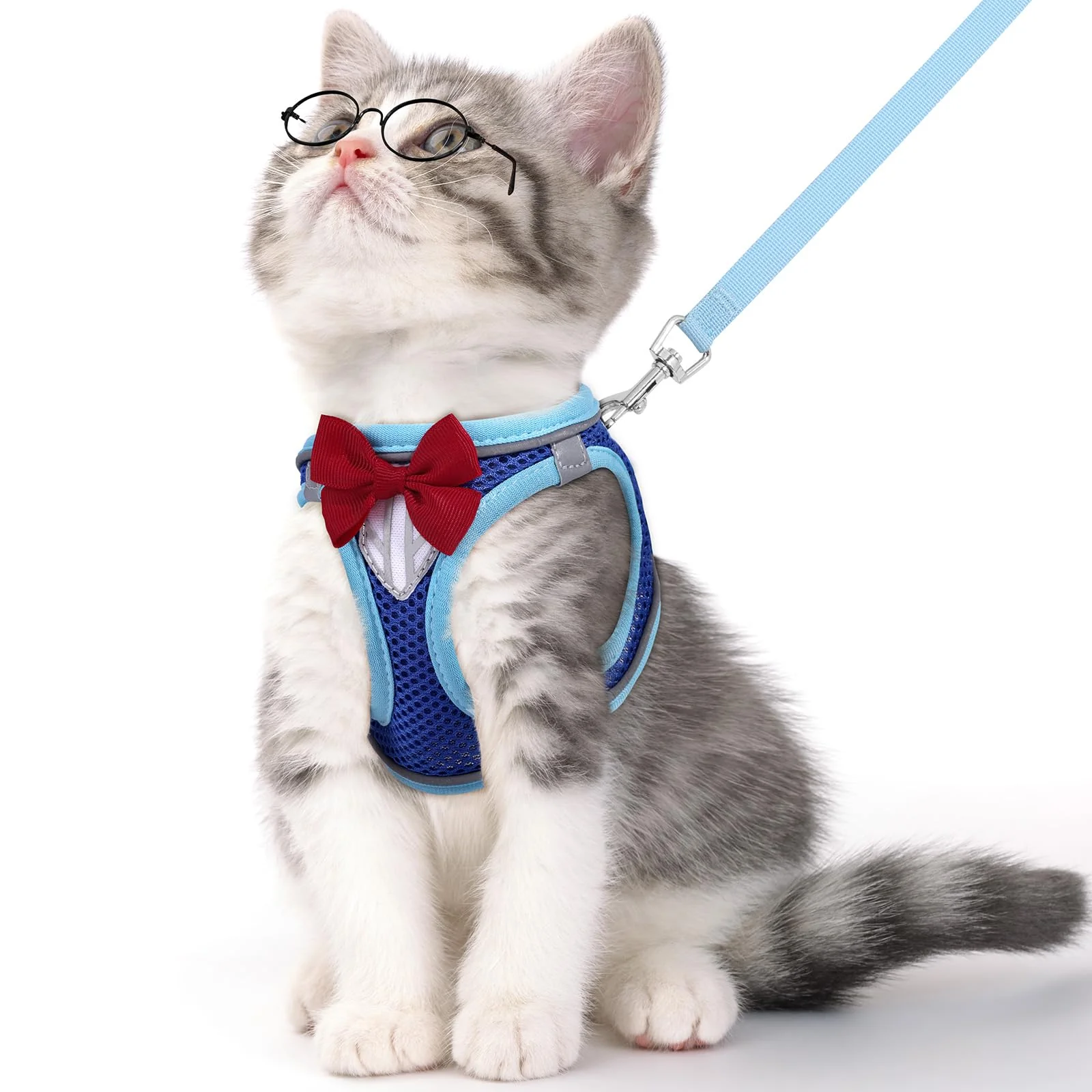 Secure NCMAMA Cat Vest Harness Leash Set – Escape-Proof Adjustable Breathable Mesh Blue S Original