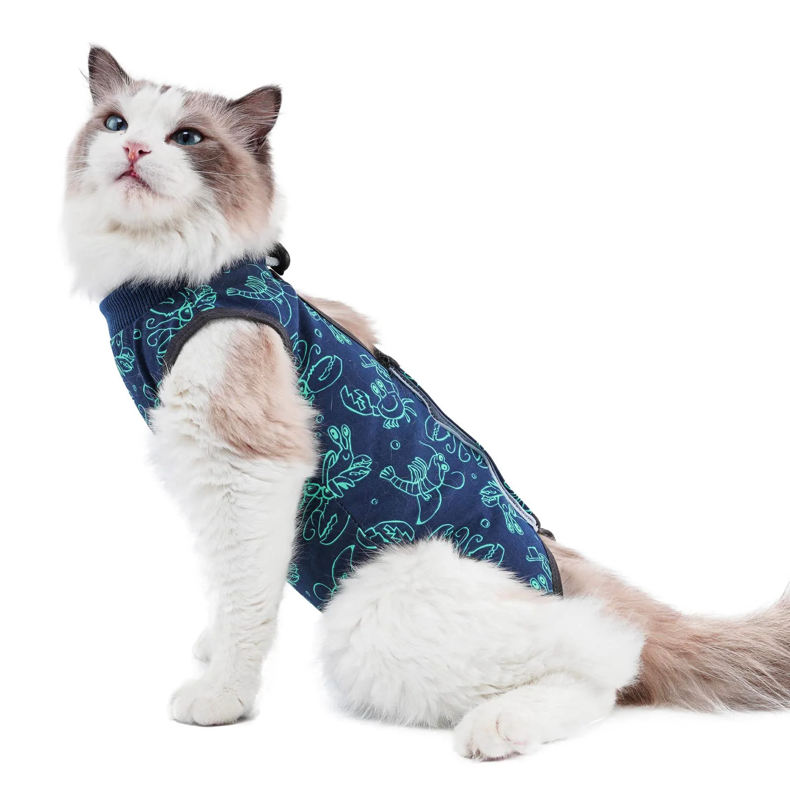 Advanced kzrfojy Cat Surgery Recovery Suit – Post-Op Cat Onesie Dark Blue Elegant