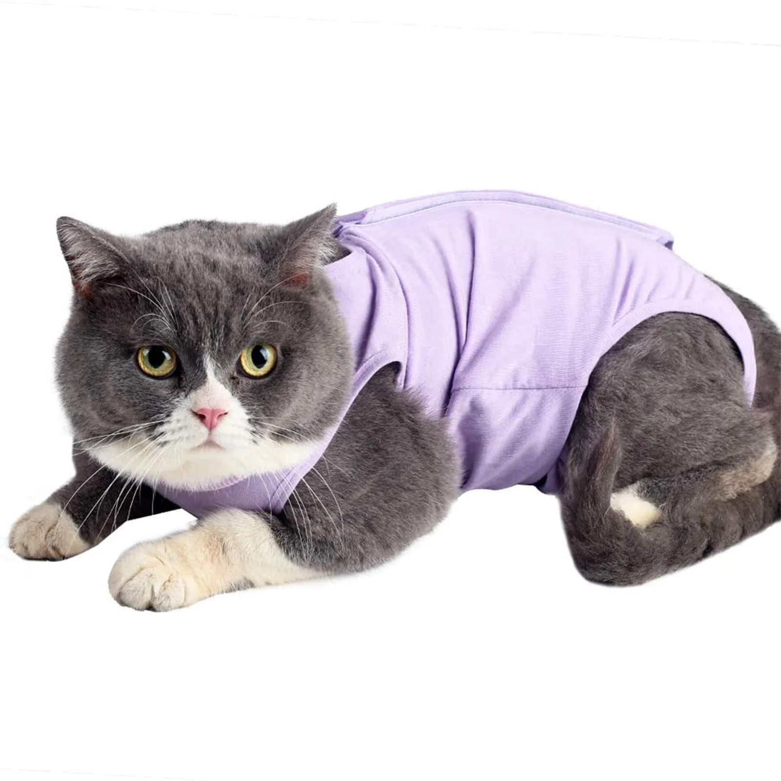 Top-Quality kzrfojy Cat Surgery Recovery Suit Purple-L — Soft Breathable Easy-On Post-Op Wear Exclusive