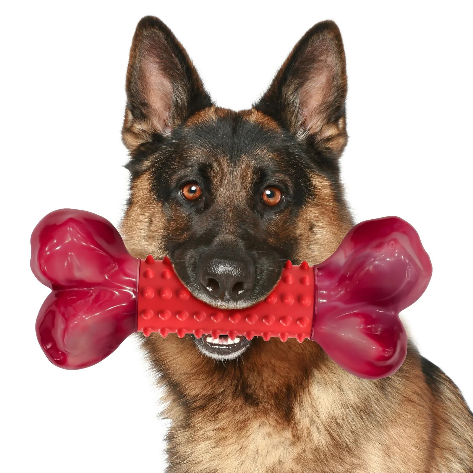 Exclusive Apasiri Tough Dog Toy for Aggressive Chewers – 8in Beef Flavor Nylon-Rubber Bone High-Quality
