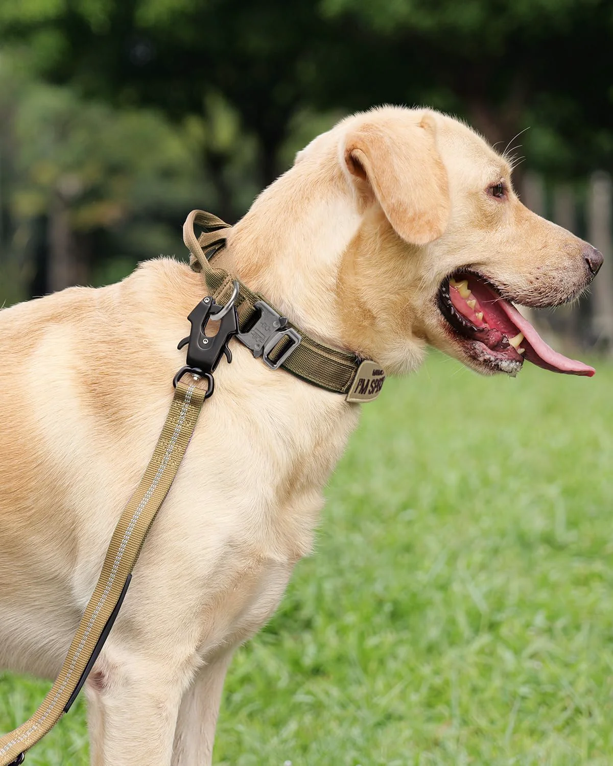 Selected Joytale Tactical Dog Collar with Handle – Heavy-Duty Adjustable Collar for Large Dogs Khaki L Environmentally Friendly