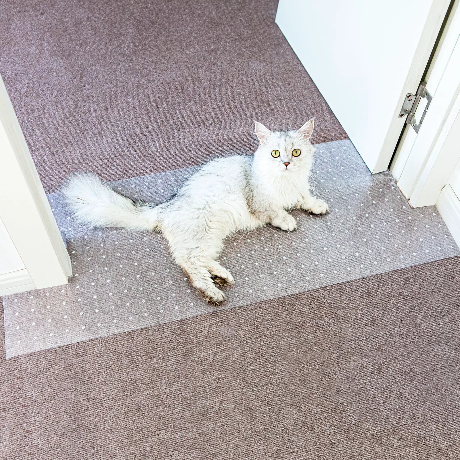 Versatile Oroonoko Carpet Protector for Pets – Doorway Corner Barrier Clear 3.6FT Organic