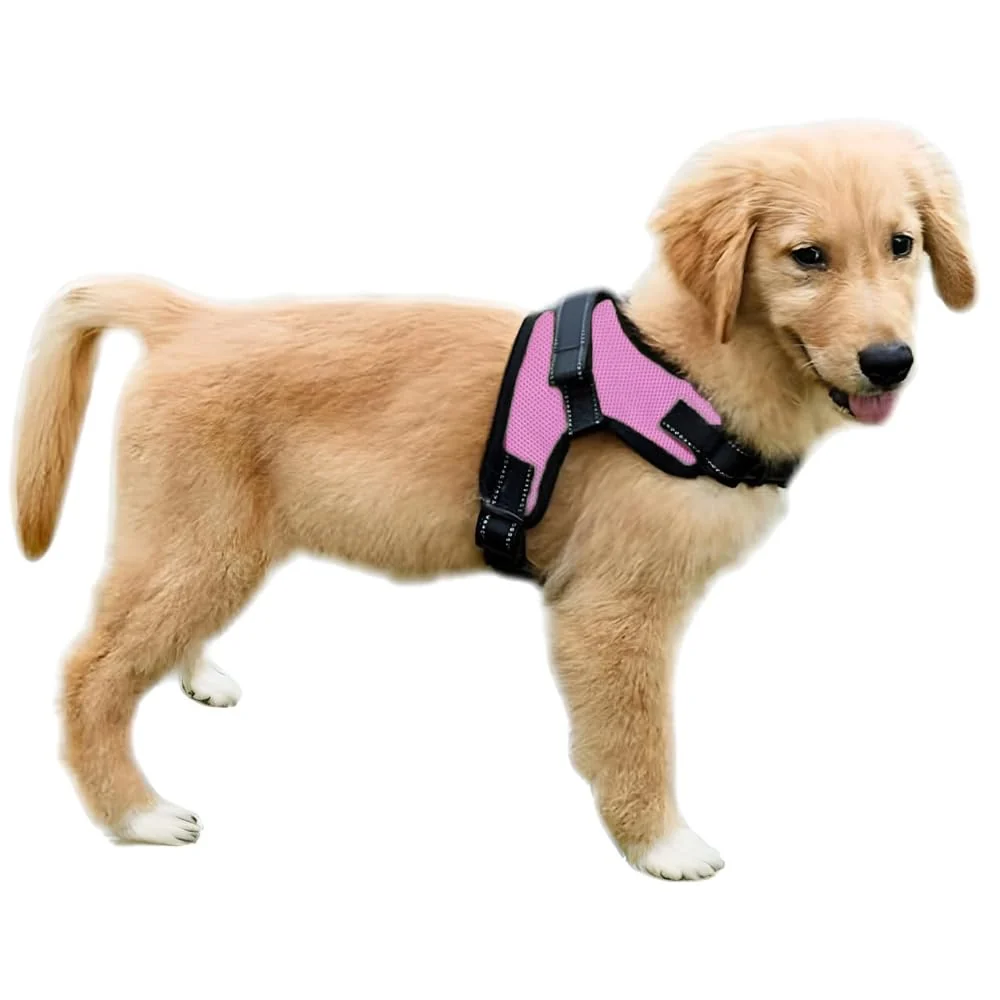 Solid Copatchy No Pull Reflective Dog Harness With Handle – Pink X-Small All-Weather Mesh Functional