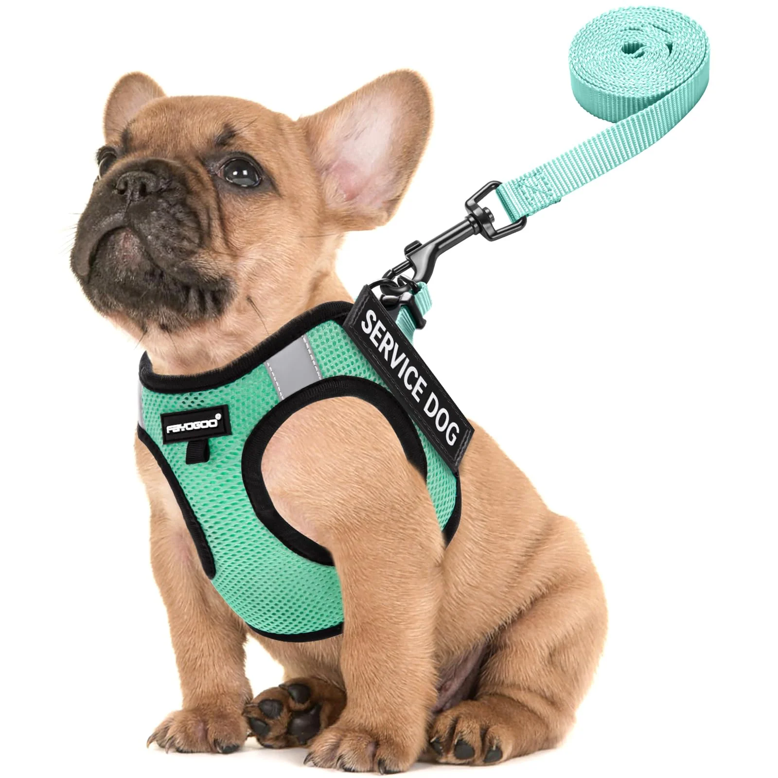User-Friendly FAYOGOO Small Dog Harness – Lightweight Service Training Vest with 6 Patches Exclusive