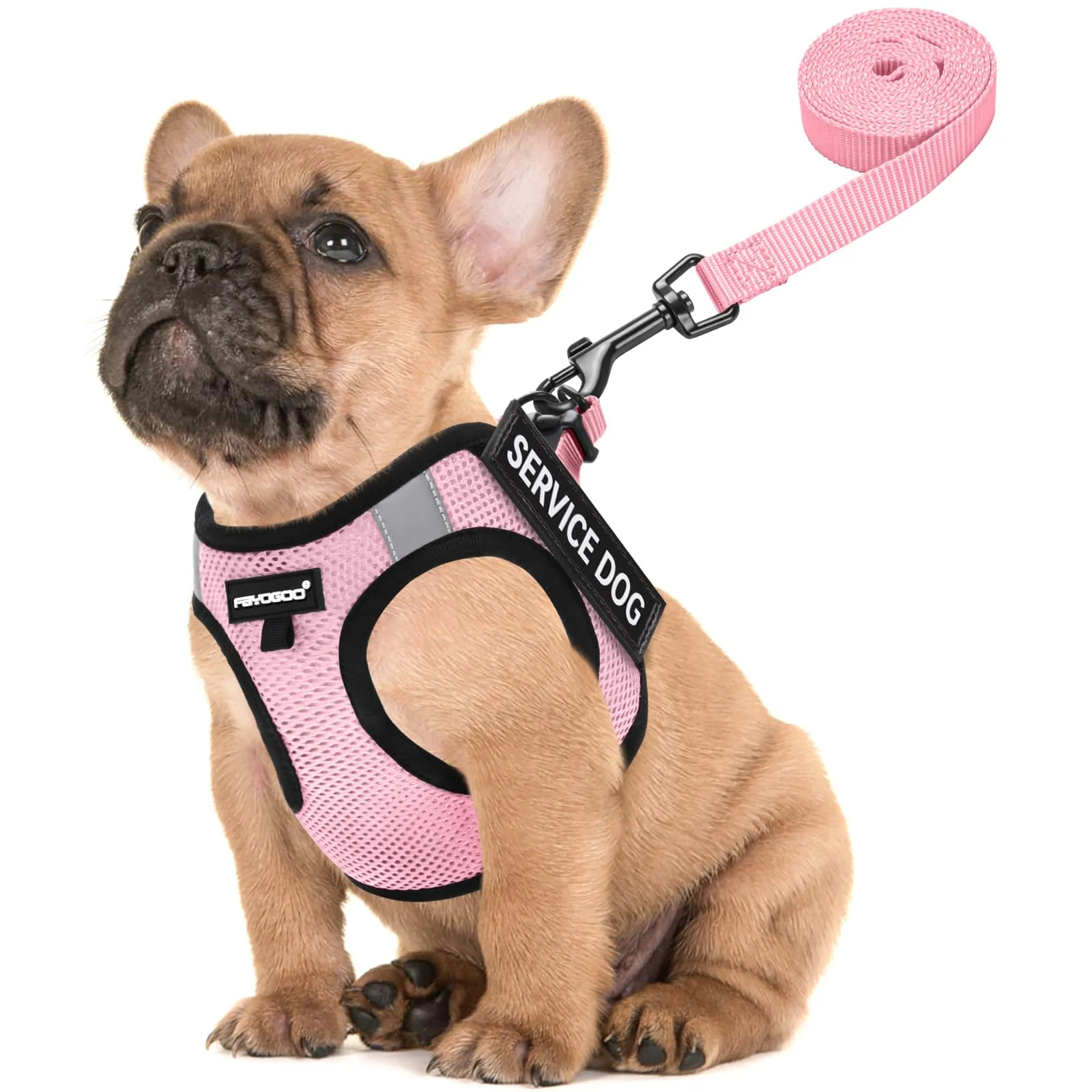Innovative FAYOGOO Service Dog Vest for Small Breed – Lightweight Harness with 6 Removable Patches Comfortable