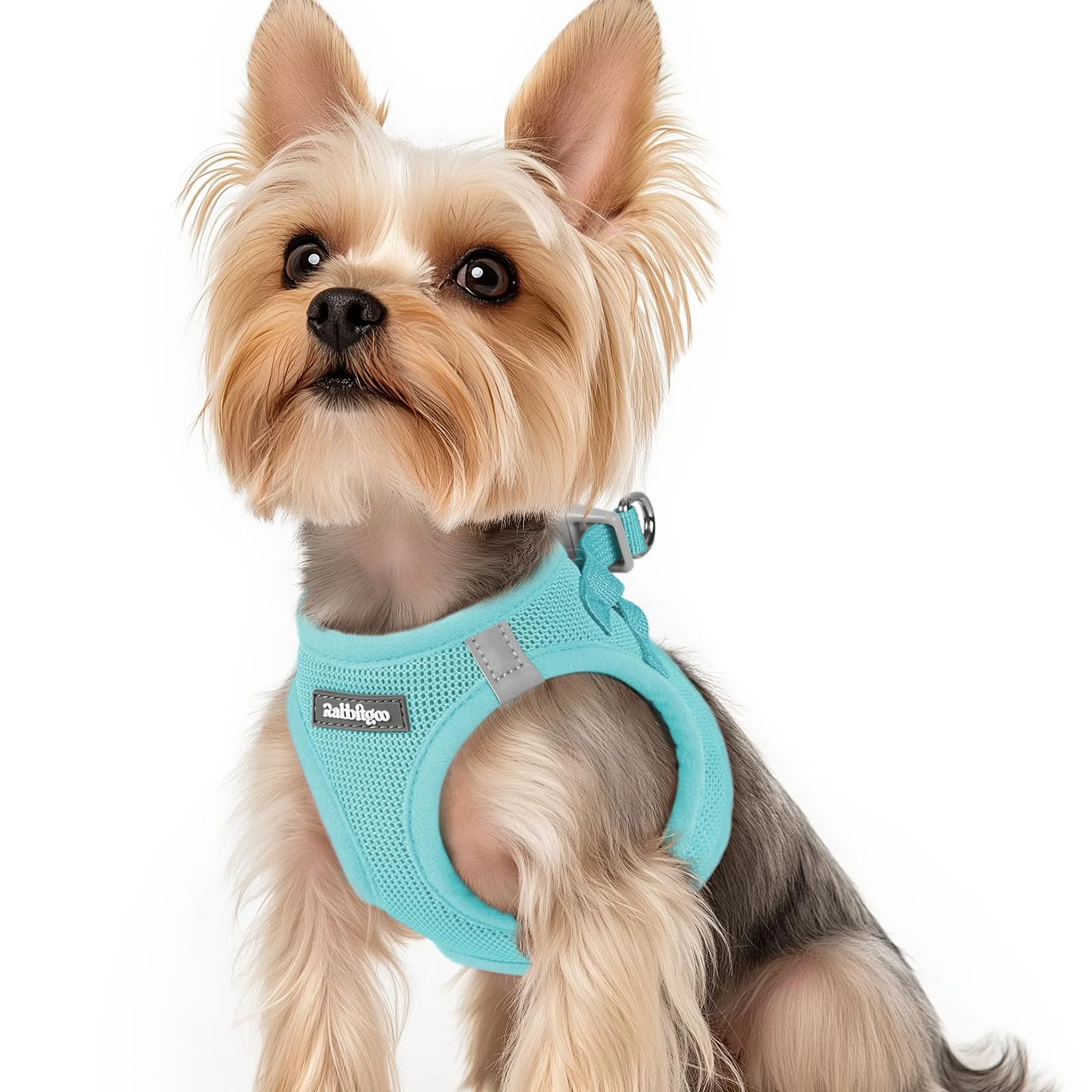 Superior Rabbitgoo Small Dog Harness XS Mint Blue – Step-In Mesh Reflective Breathable First-Class