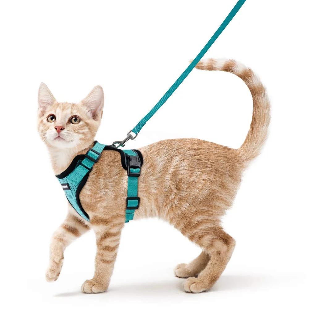 Dependable Rabbitgoo Cat Harness and Leash – Escape-Proof Adjustable Breathable Vest Harness for Cats Emerald Size S Quality