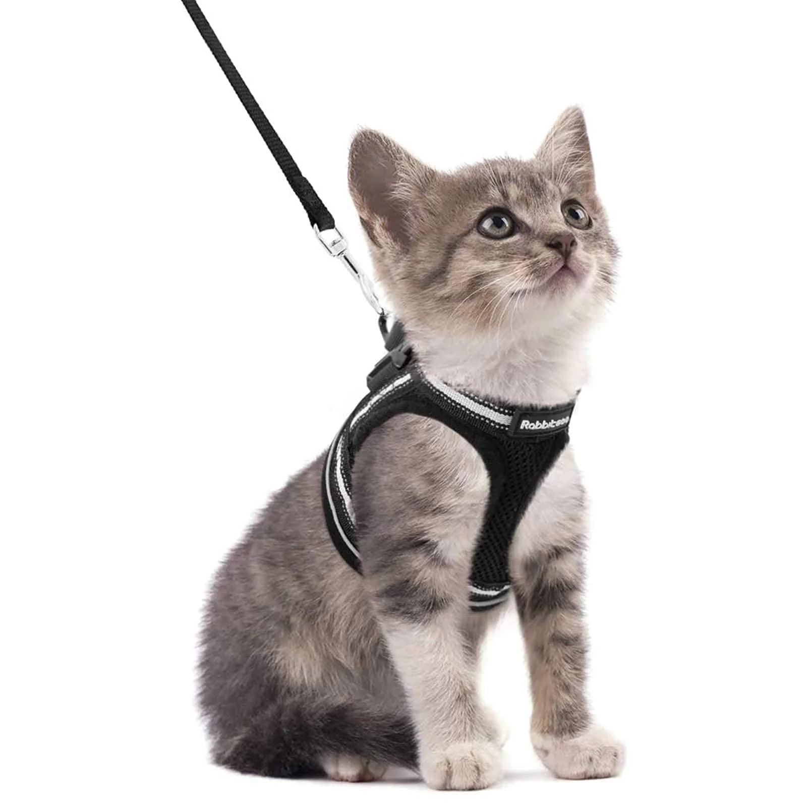 User-Friendly Rabbitgoo Cat Harness Leash Set — Escape-Proof Adjustable Comfort for Outdoor Walks Specialty