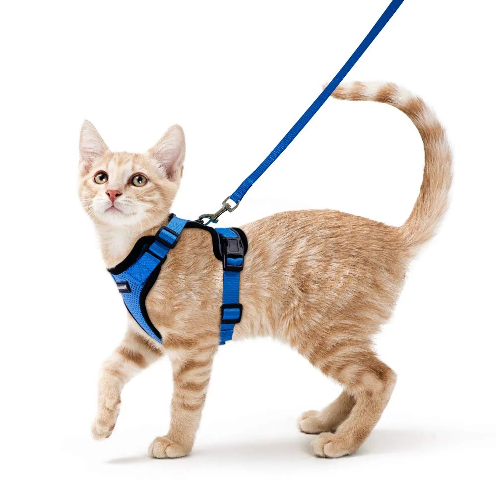 Flexible rabbitgoo Cat Harness and Leash for Walking — Escape-Proof Soft Adjustable Vest Harnesses for Cats Navy Blue XS Healthy