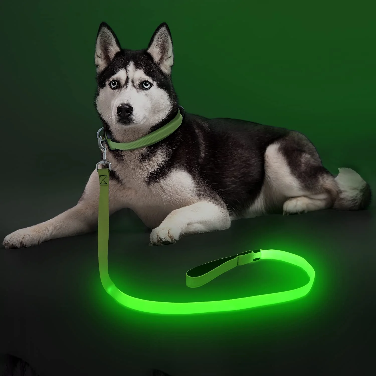 Fine Colaseeme Light Up Dog Leash – USB Rechargeable LED Safety Leash for Night Walks 4ft Green Original