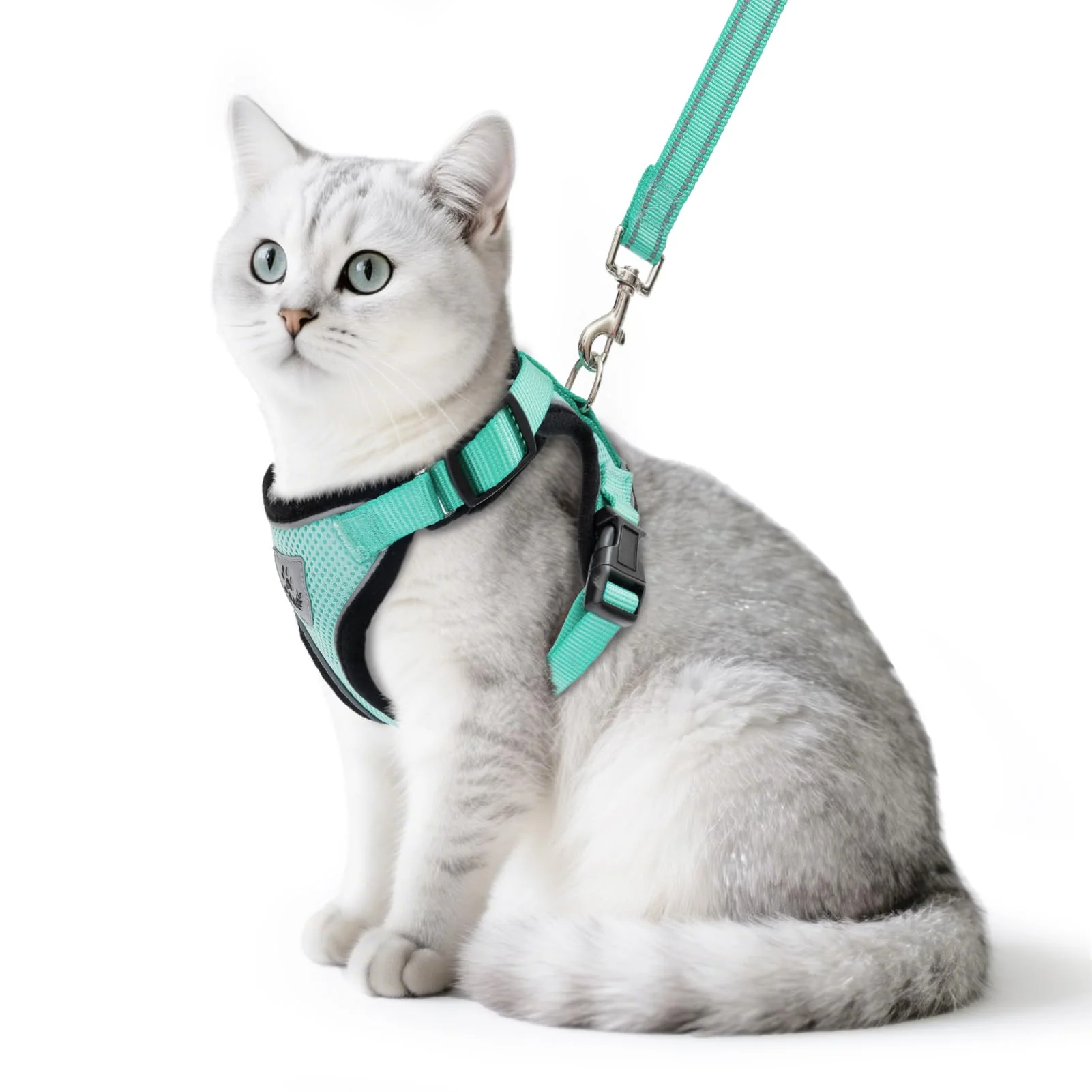 Refined PUPTECK Cat Harness and Leash Set – Escape-Proof Reflective Mesh Vest for Small Pets Aquamarine S Trusted